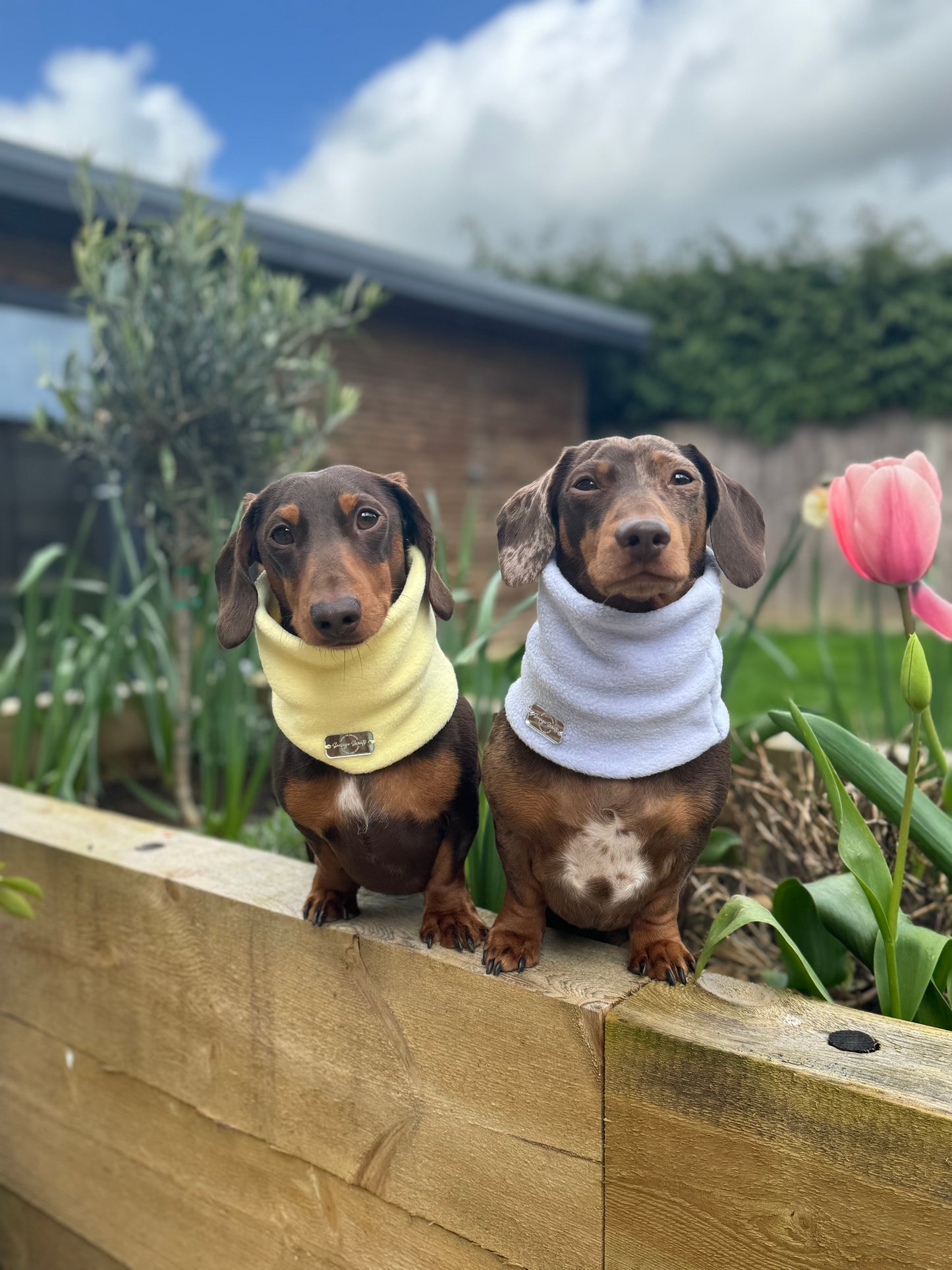 Lemon Fleece Snood