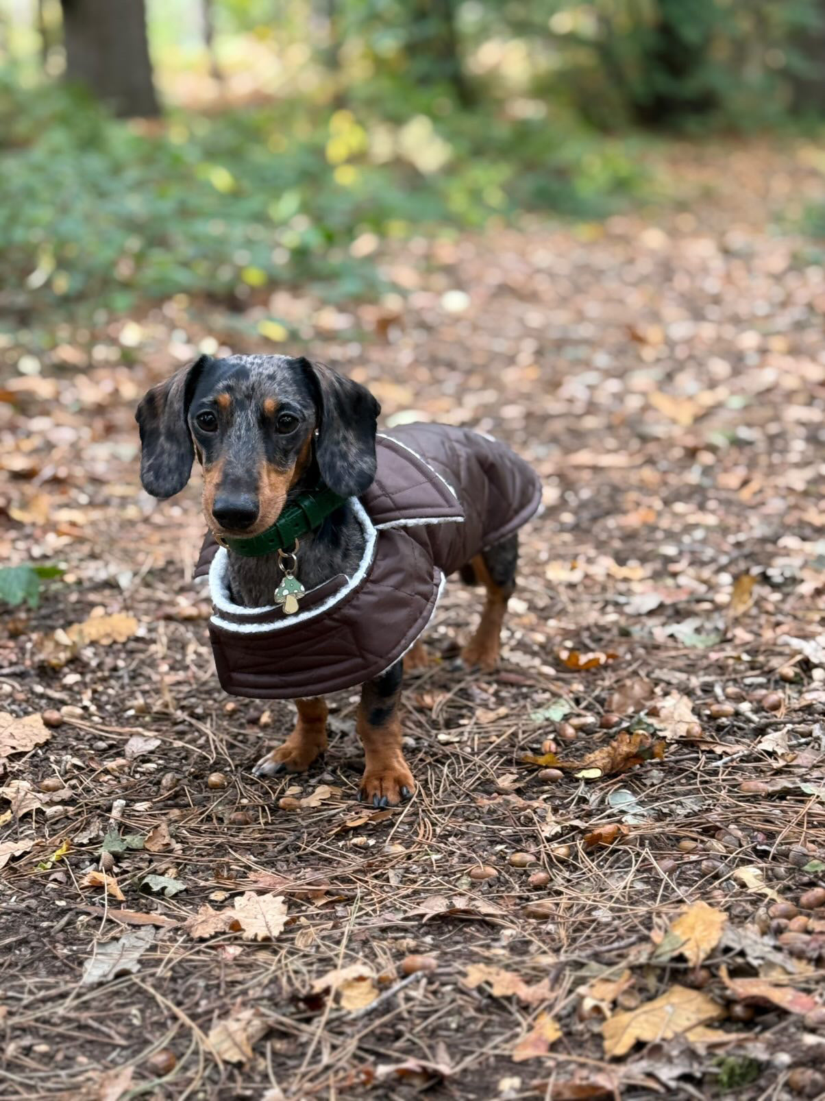 Chocolate Quilted Coat with Fleece Lining
