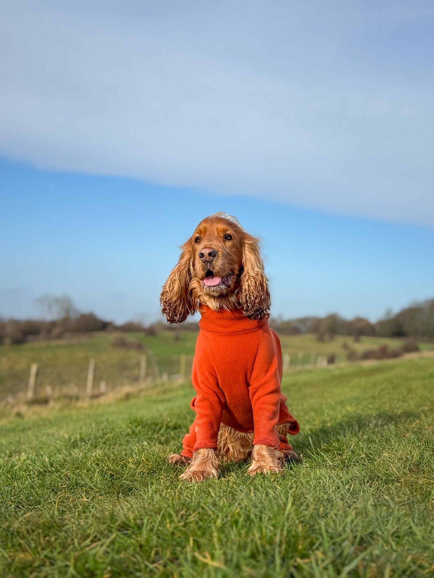 Rust 4 Leg Fleece Jumper