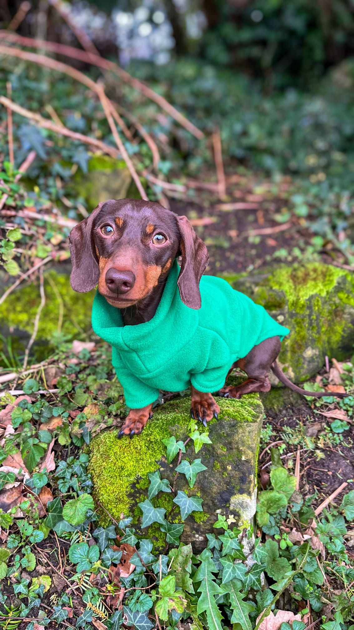 Emerald Fleece Jumper