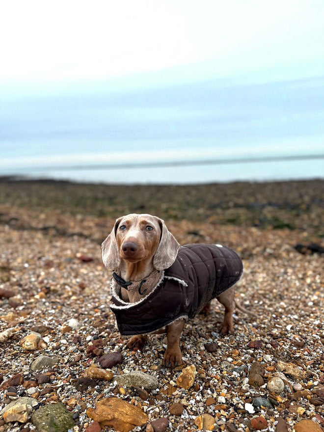 Chocolate Quilted Coat with Borg Lining