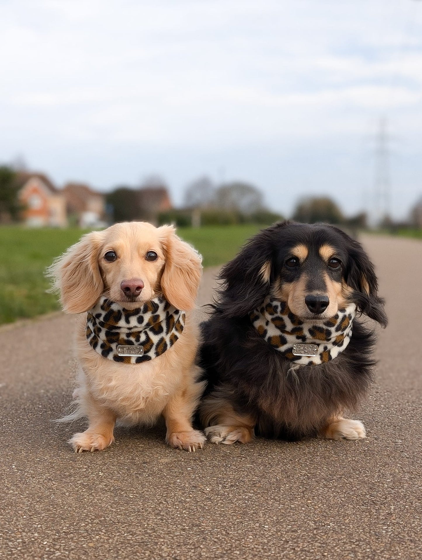 Snow Leopard Fleece Snood