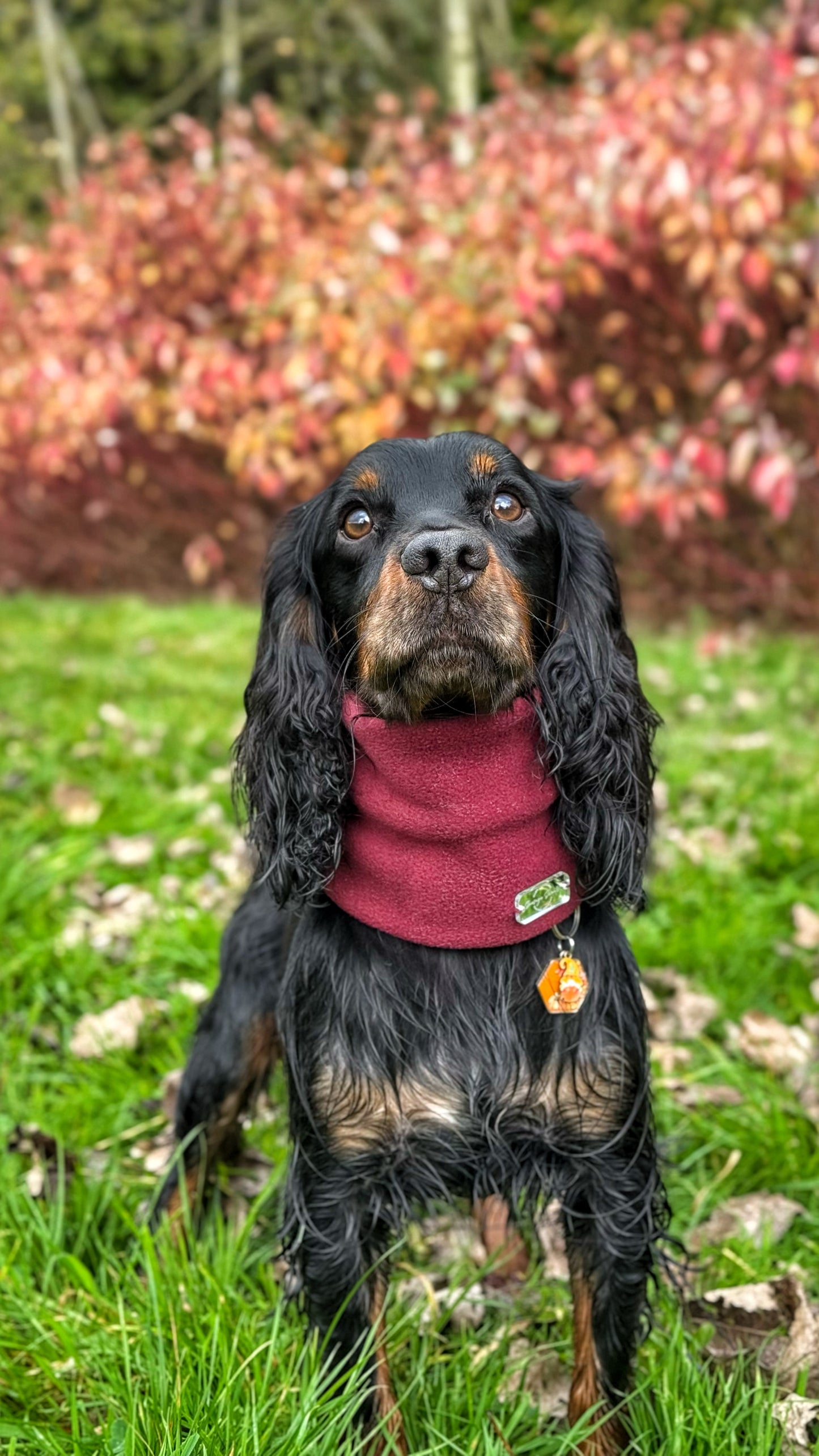 Wine Fleece Snood