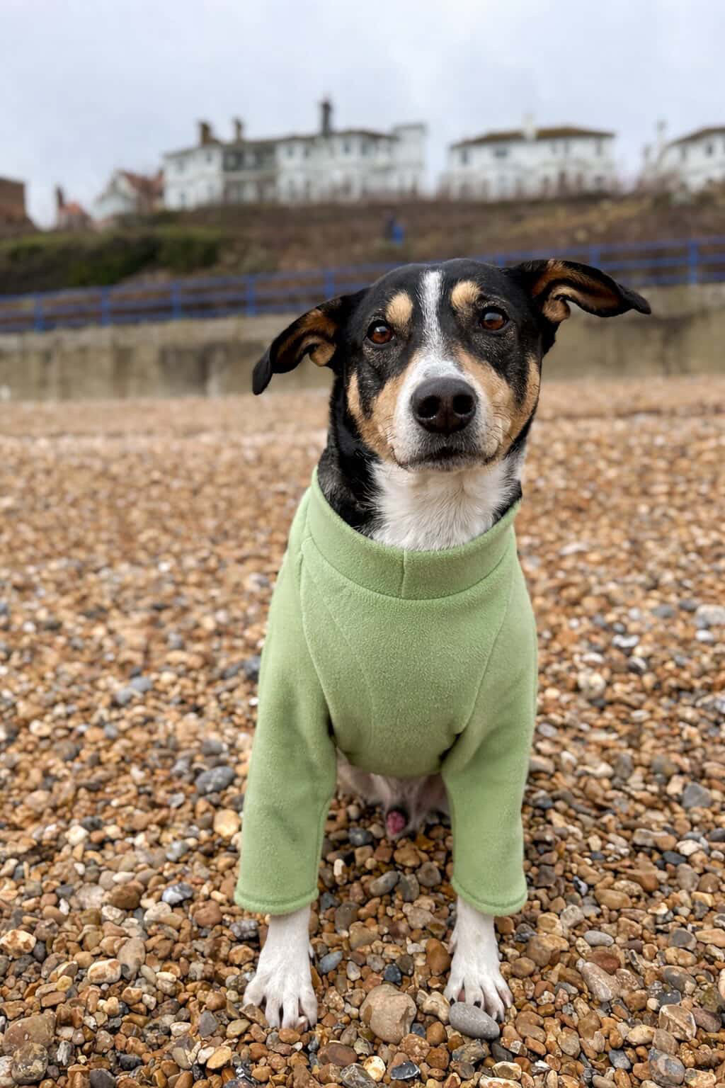 Pistachio Fleece Jumper