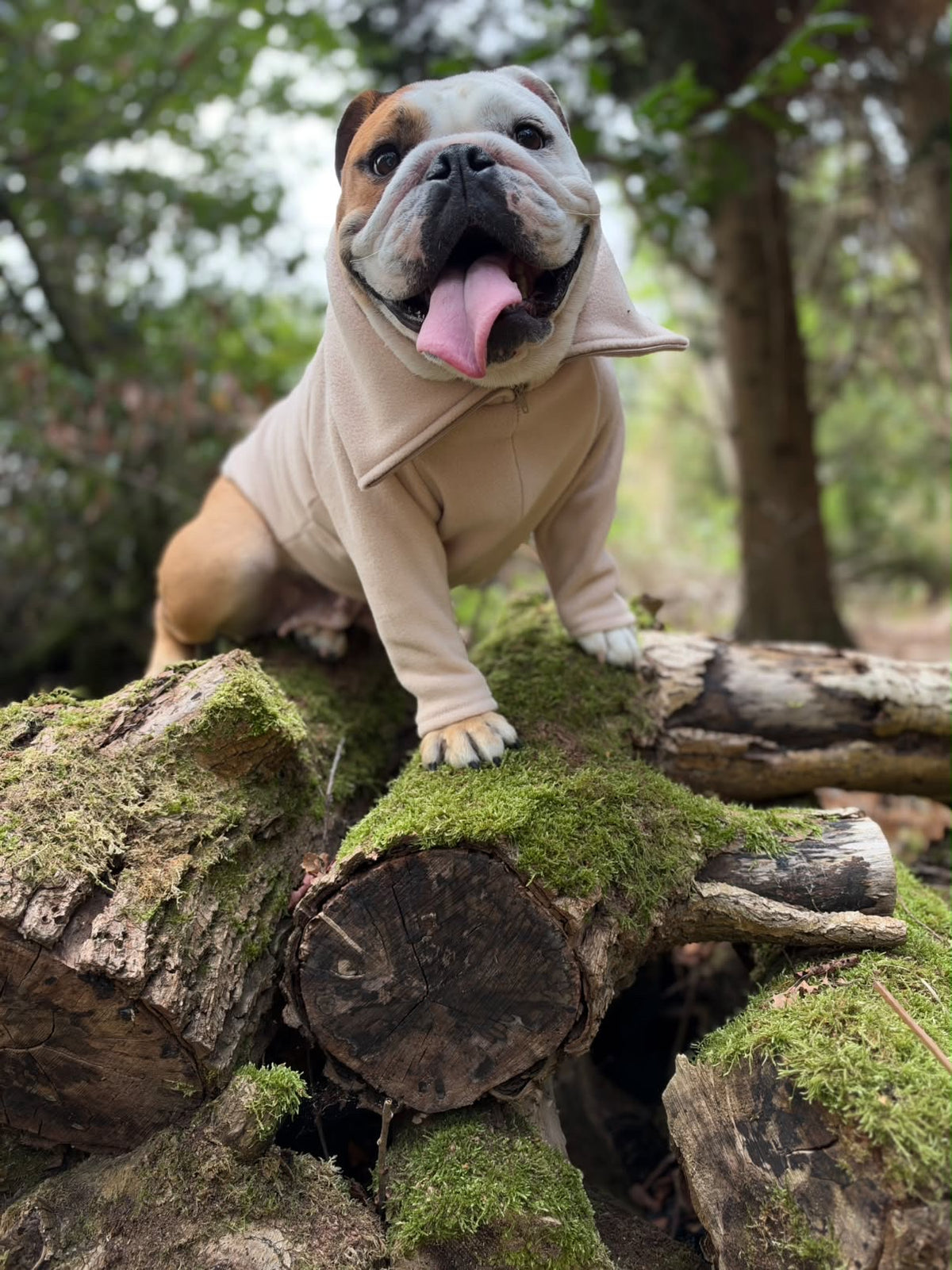 Beige Quarter Zip Fleece Jumper