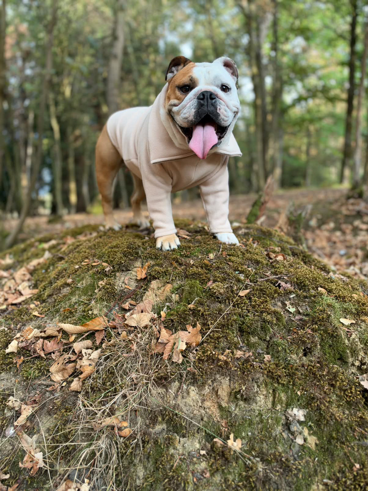 Beige Quarter Zip Fleece Jumper