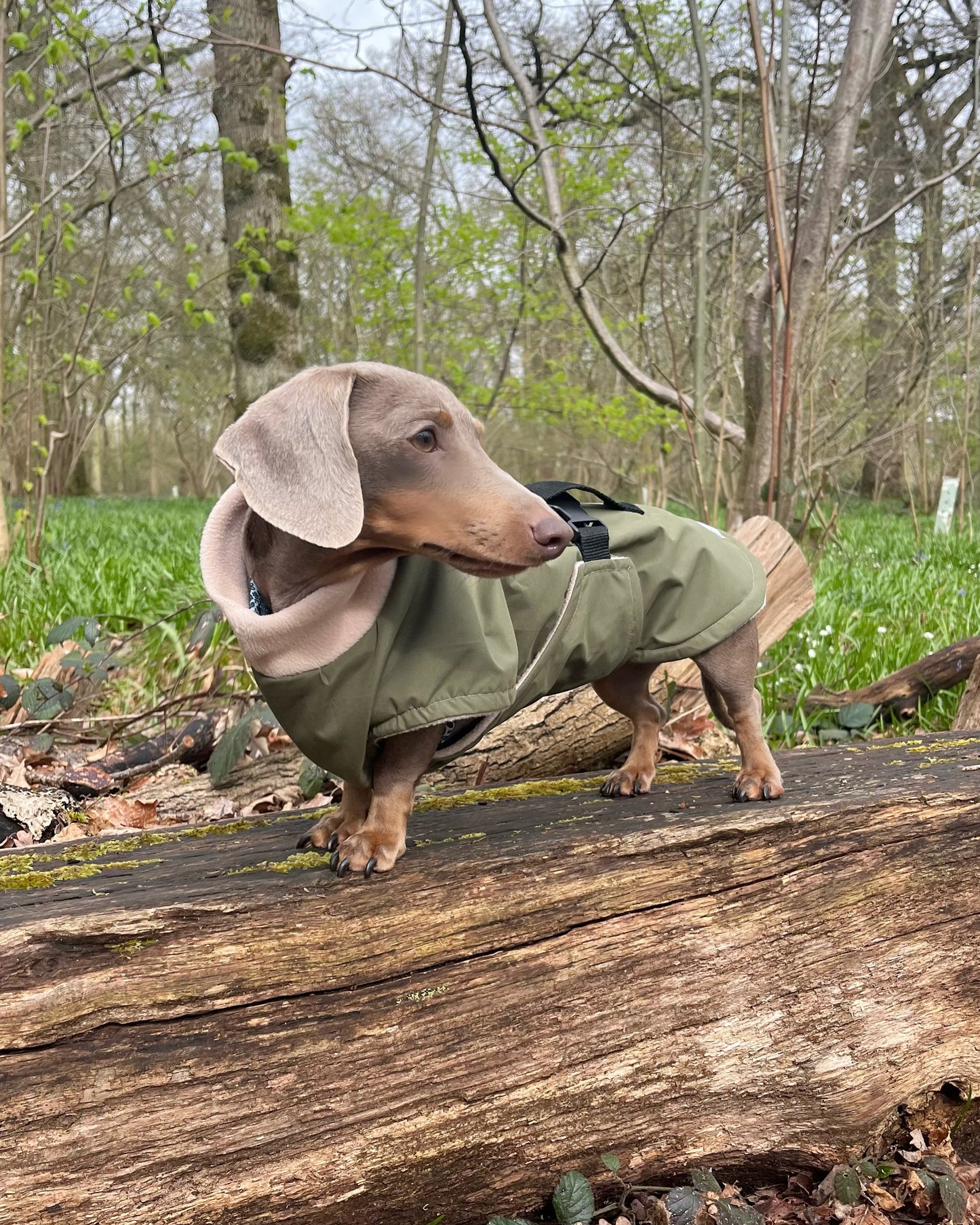 Olive Full Tummy Waterproof Jacket with Fleece Lining