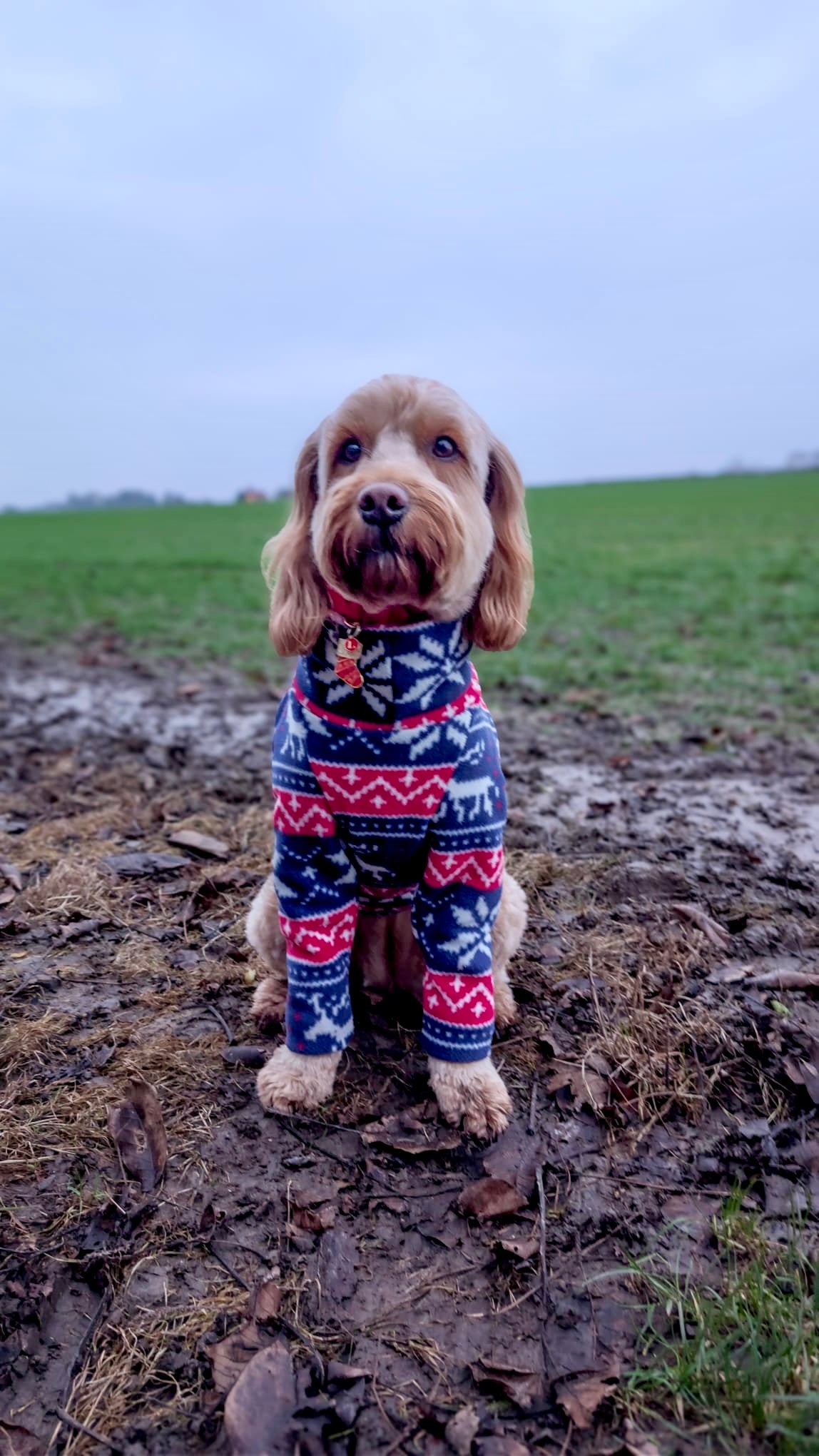 Christmas 4 Leg Fleece Jumper