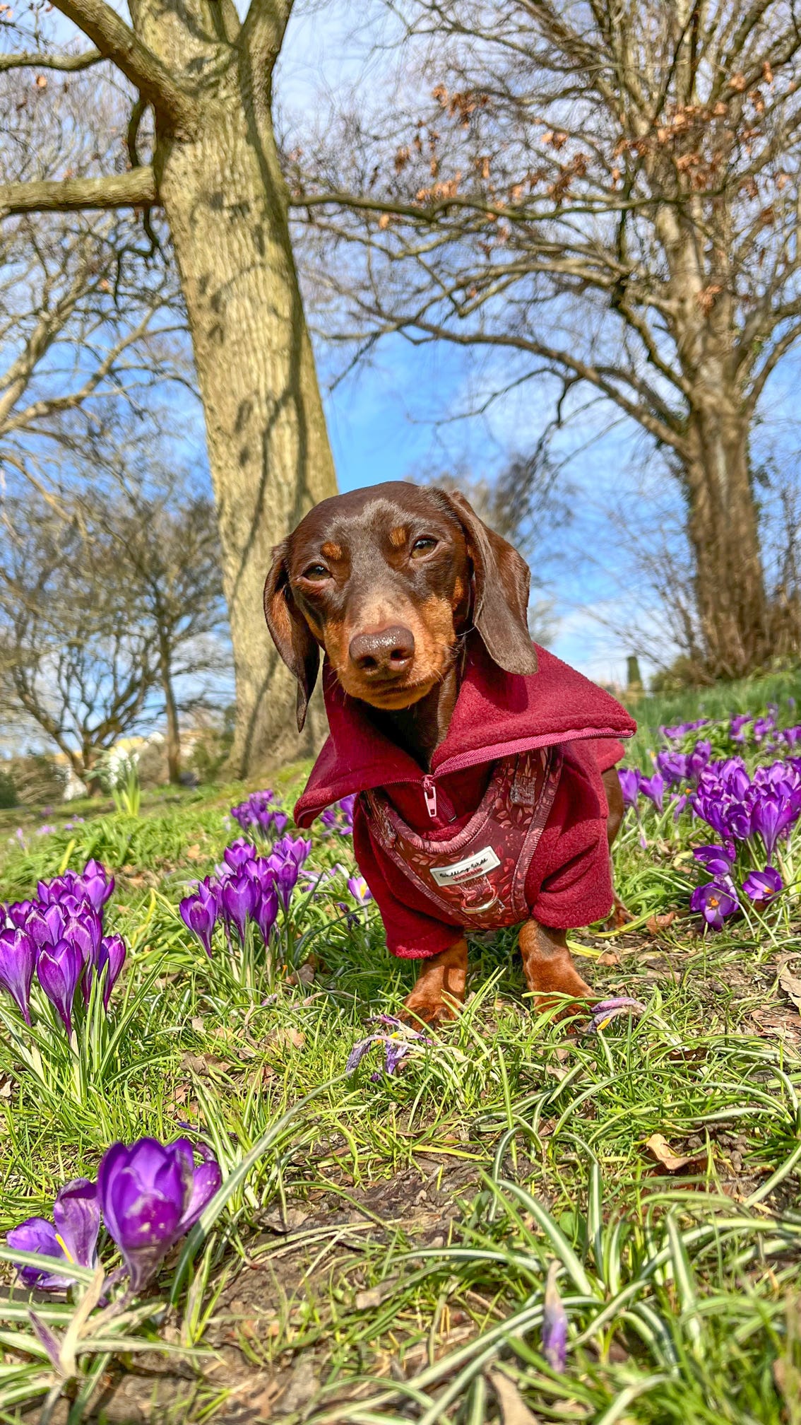 Wine Quarter Zip Fleece Jumper