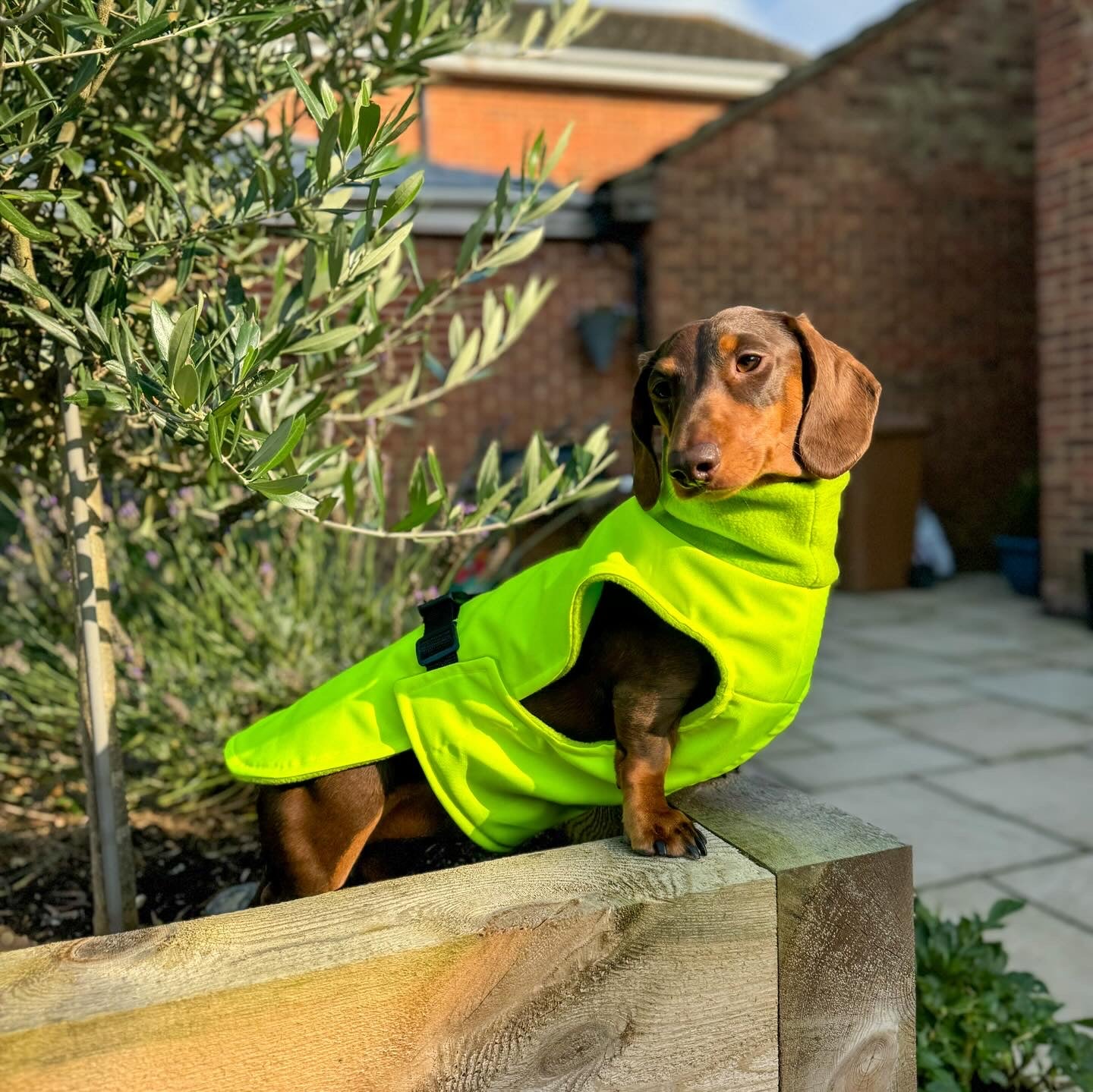 Yellow Full Tummy Waterproof Jacket with Fleece Lining