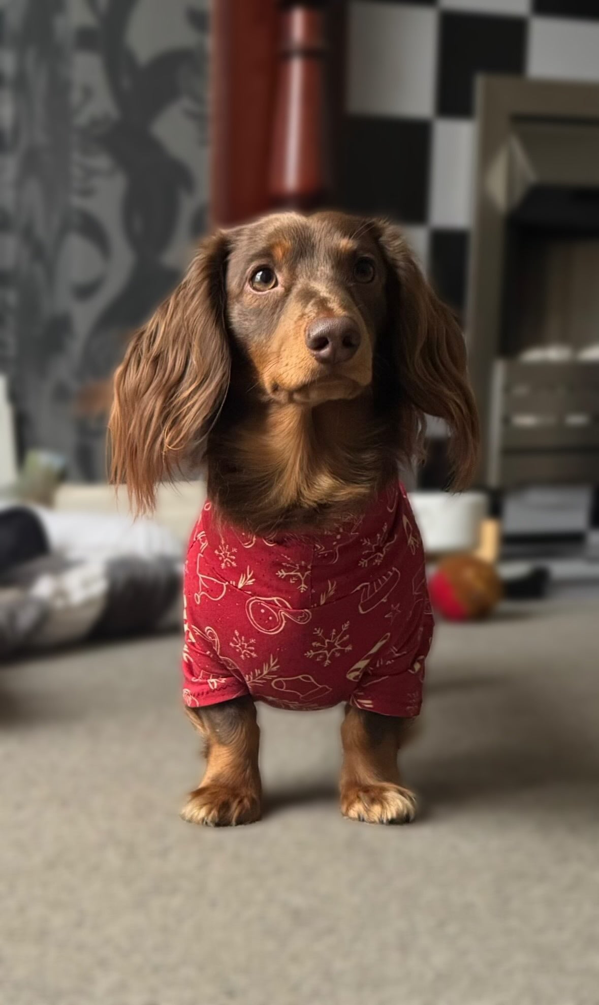 Christmas Gingerbread Man Cotton Jersey Jammies