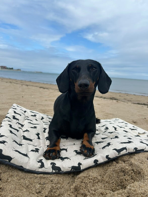 Dachshund Pub & Picnic Settle Mat