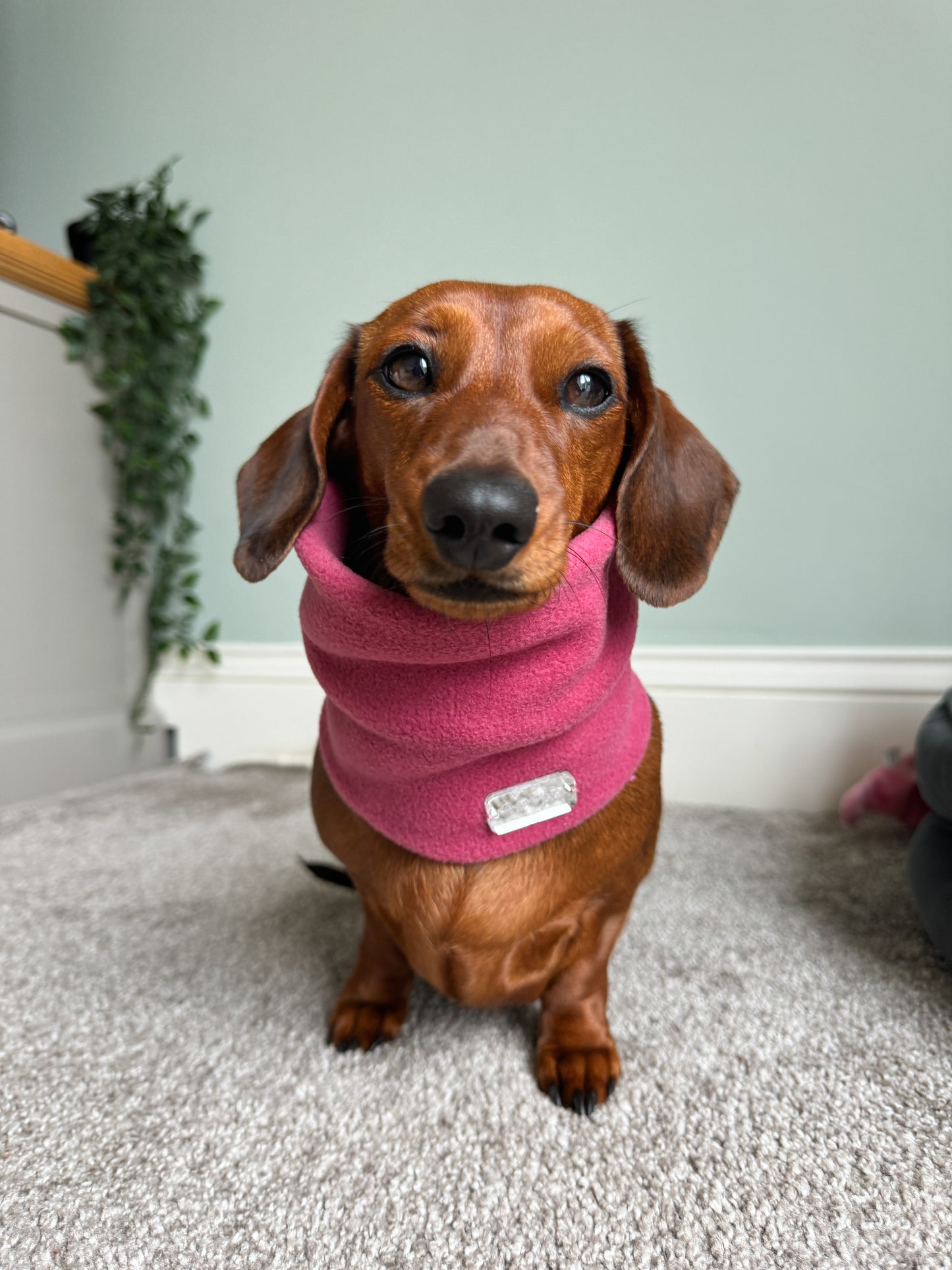 Raspberry Fleece Snood