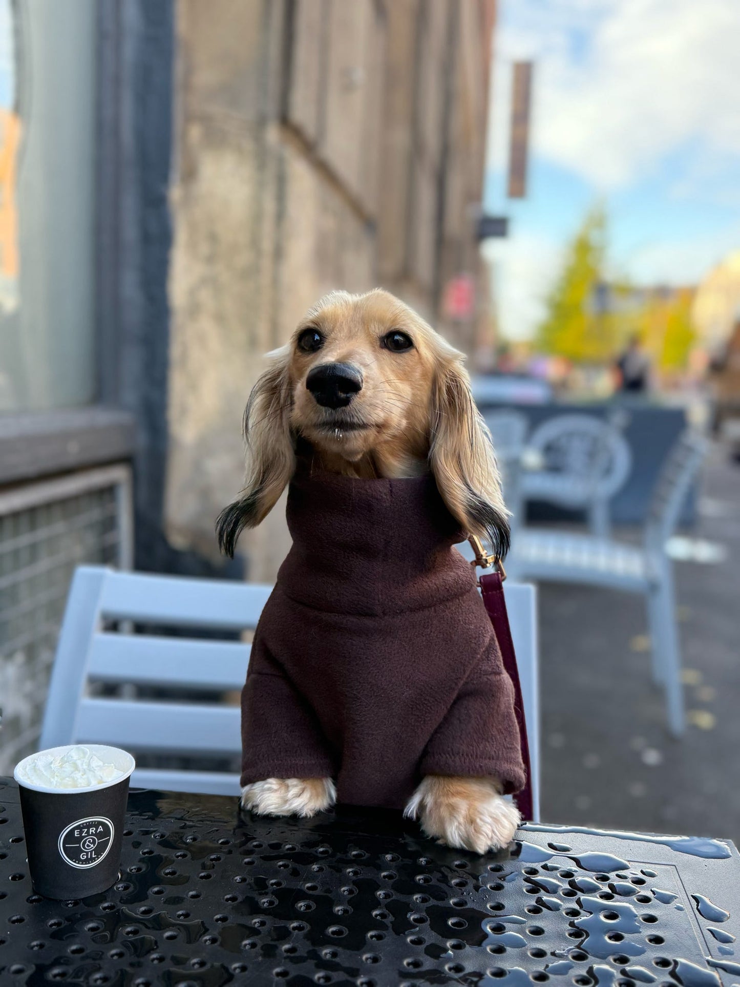 Chocolate Fleece Jumper
