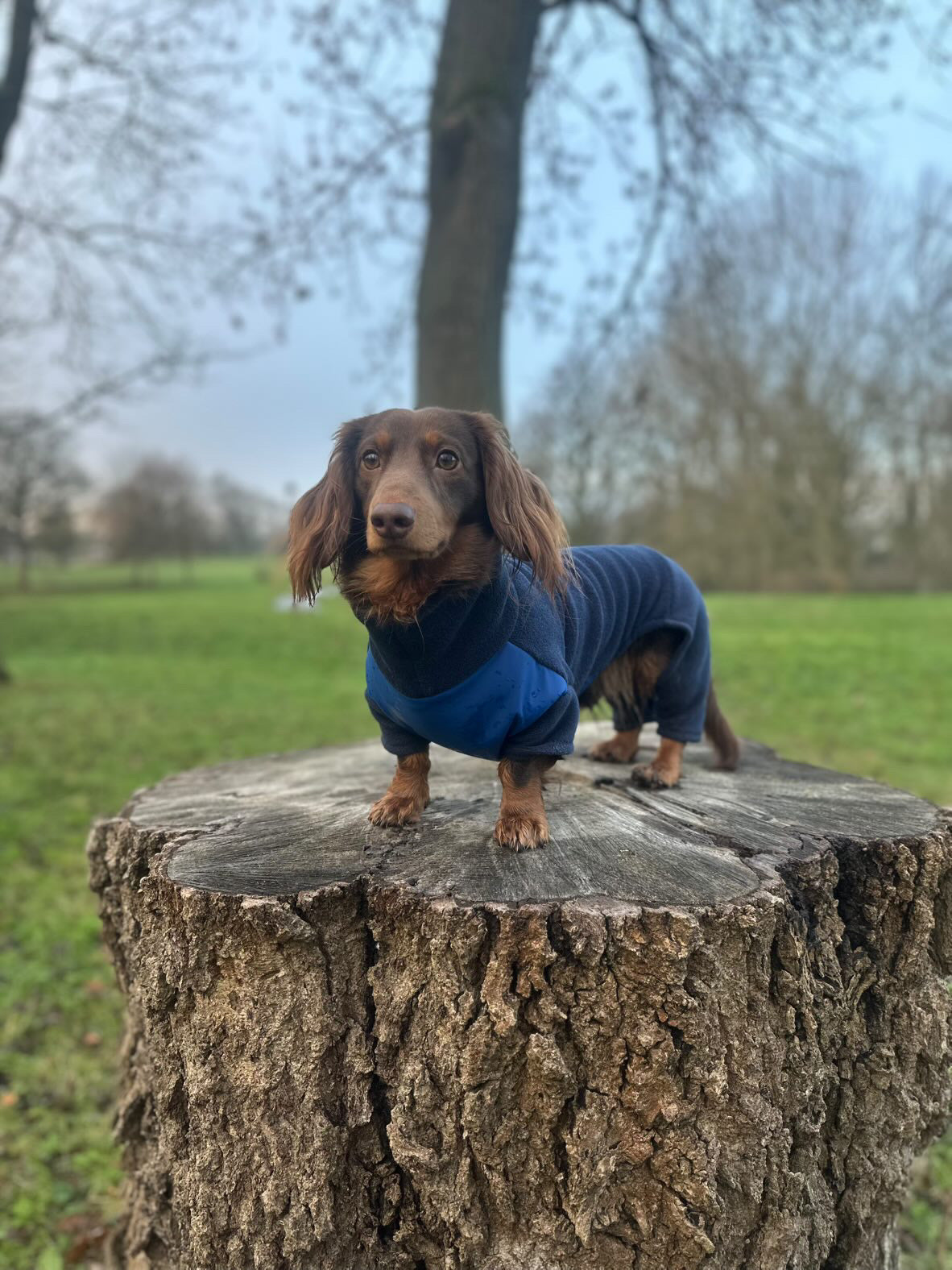 Navy 4 Leg Fleece Jumper