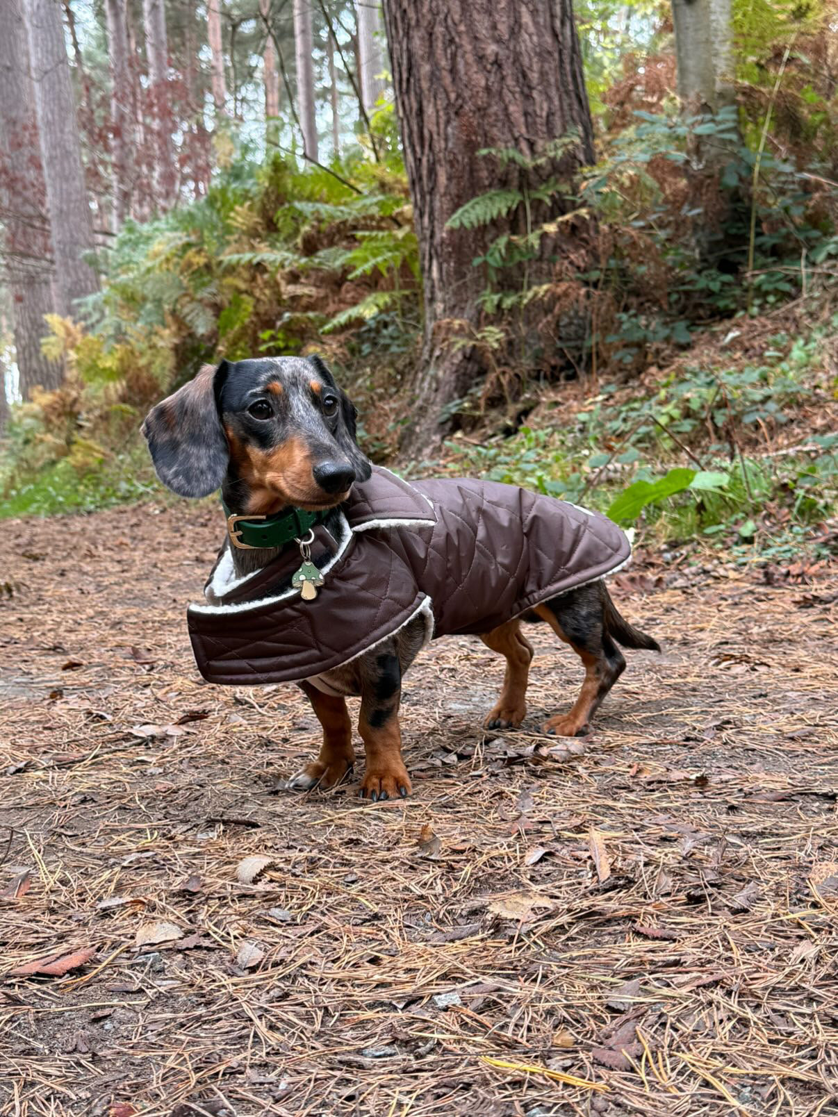 Chocolate Quilted Coat with Fleece Lining