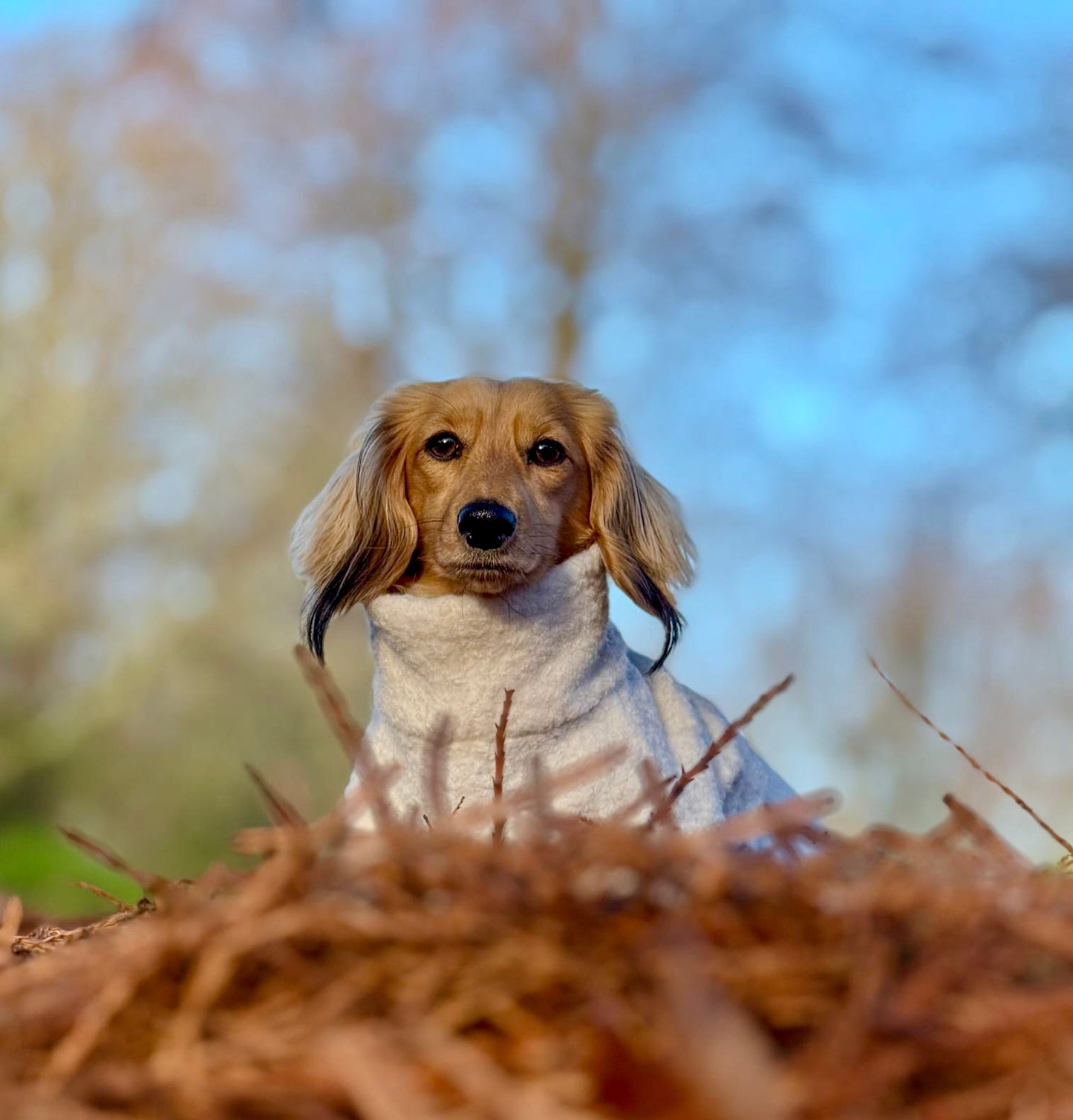 Cream Borg Cosy Jumper
