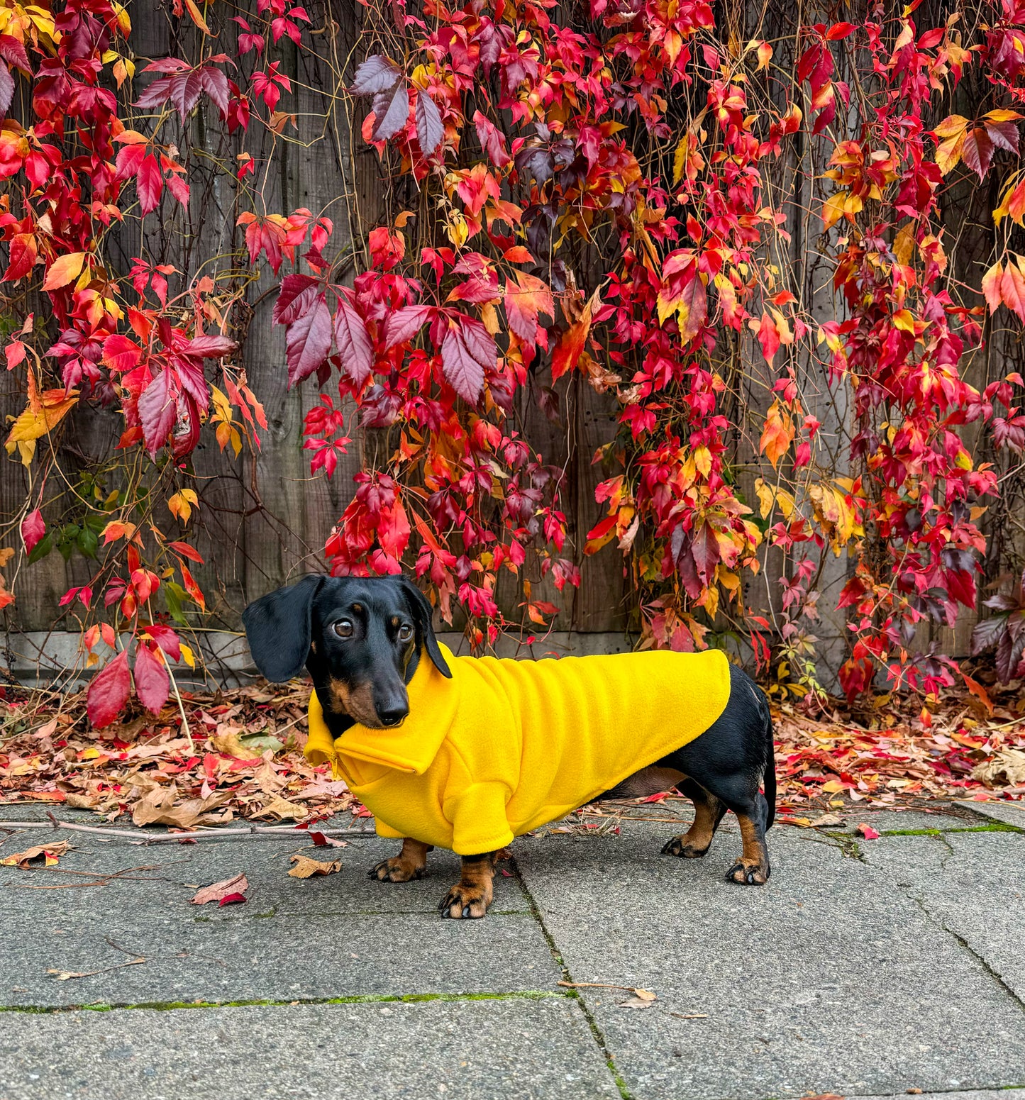 Canary Yellow Quarter Zip Fleece Jumper