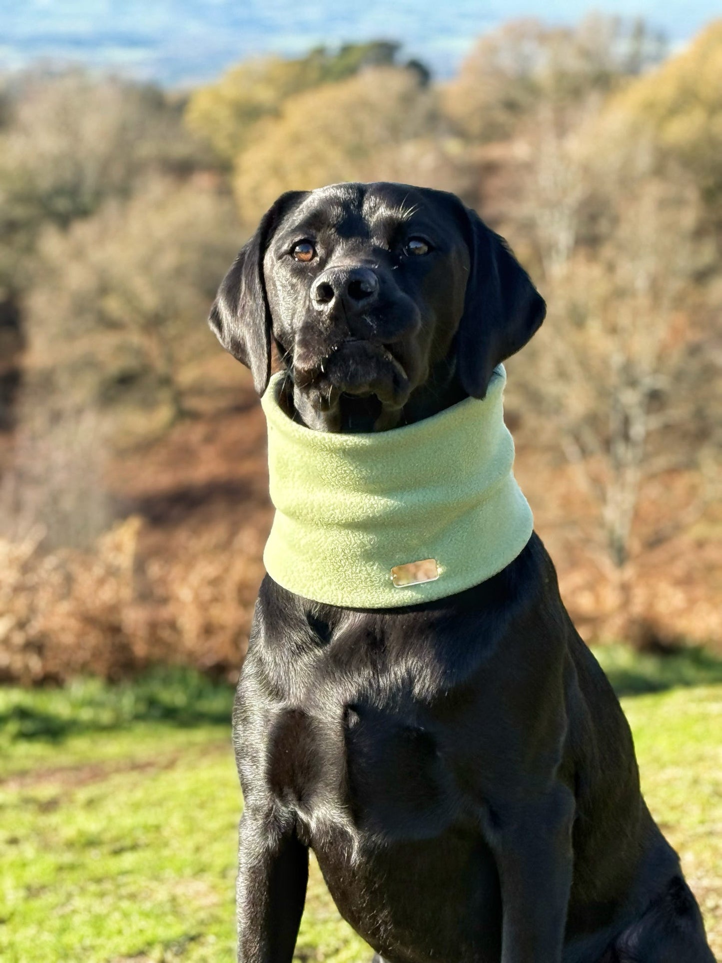Pistachio Fleece Snood