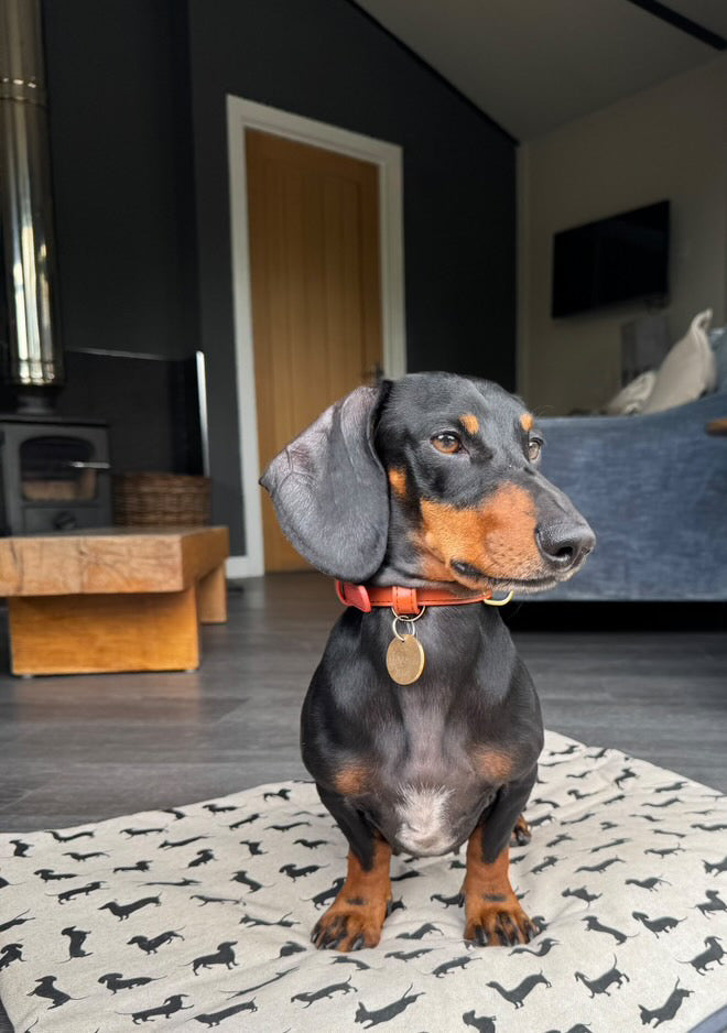 Dachshund Pub & Picnic Settle Mat