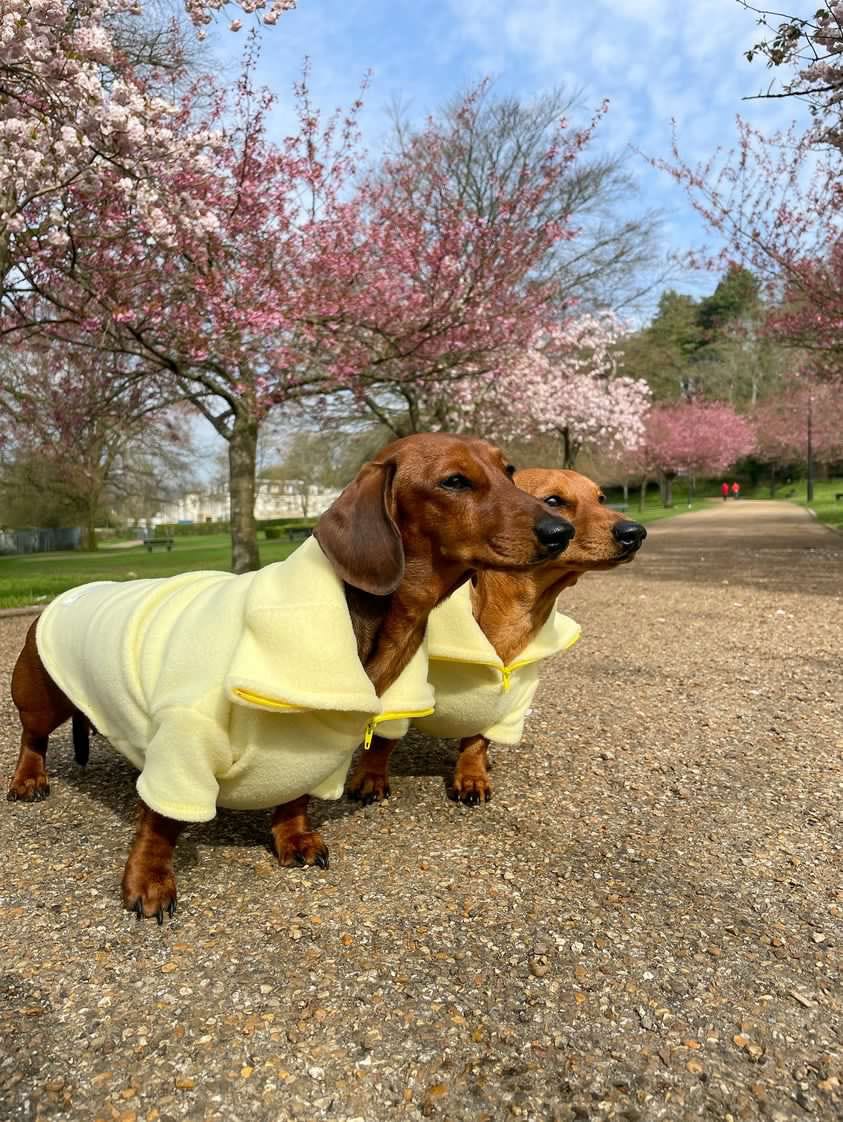 Lemon Quarter Zip Fleece Jumper