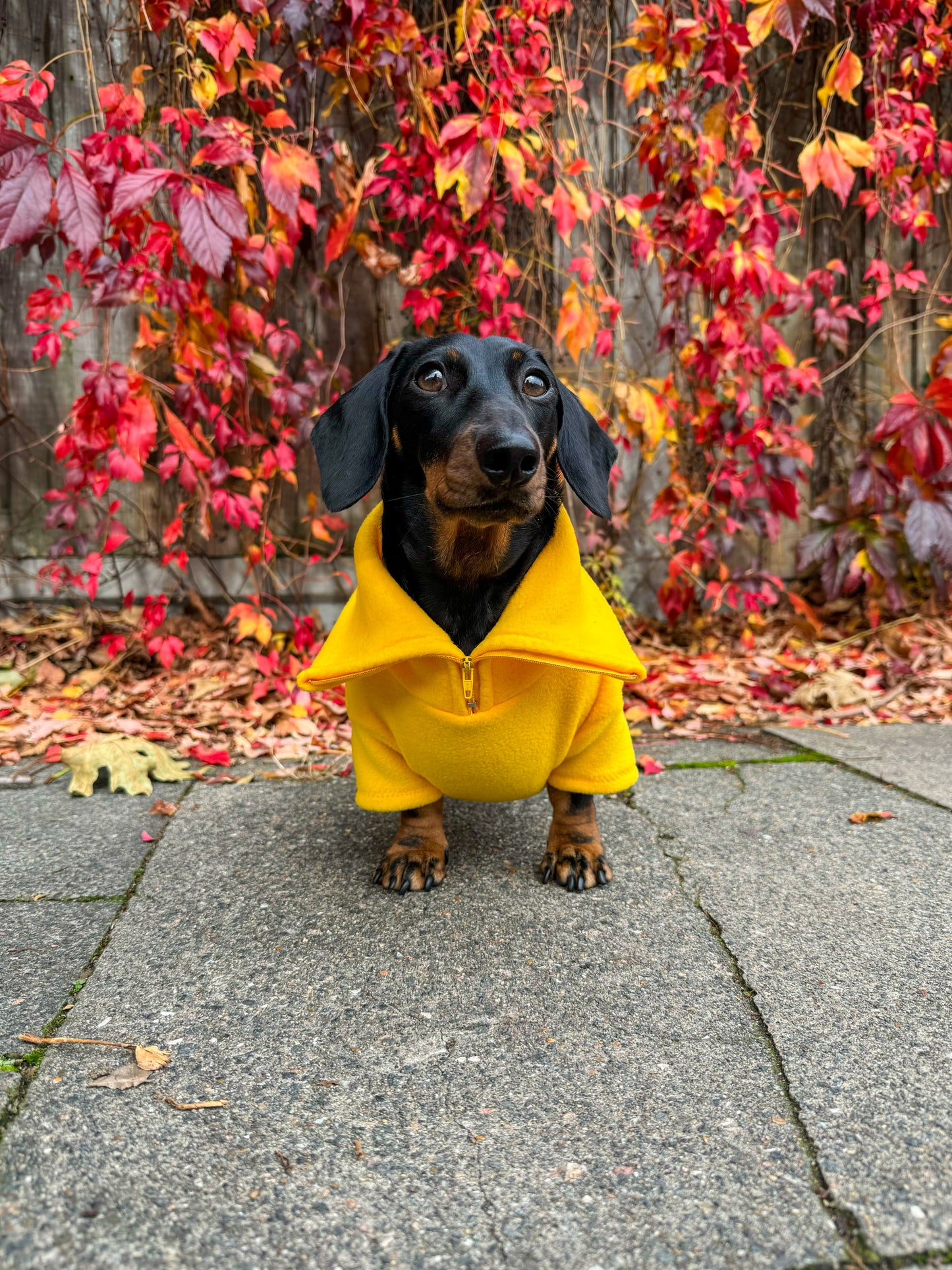 Canary Yellow Quarter Zip Fleece Jumper