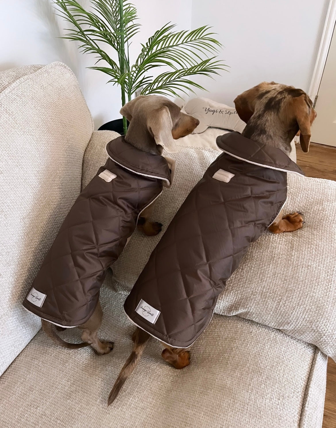 Chocolate Quilted Coat with Fleece Lining