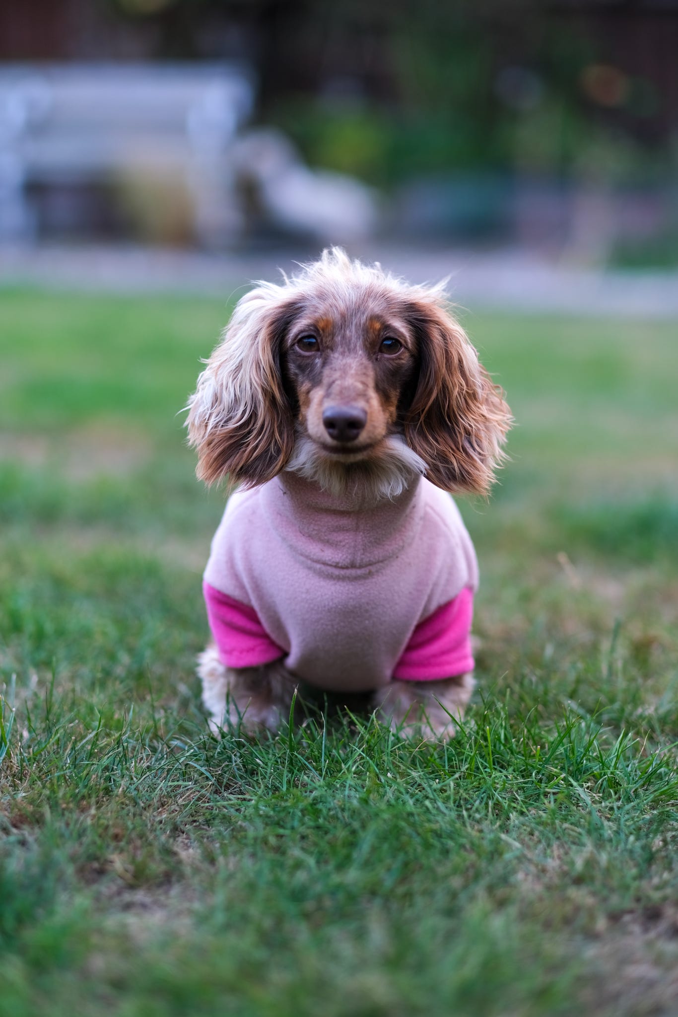 Jurassic Bark Fleece Jumper