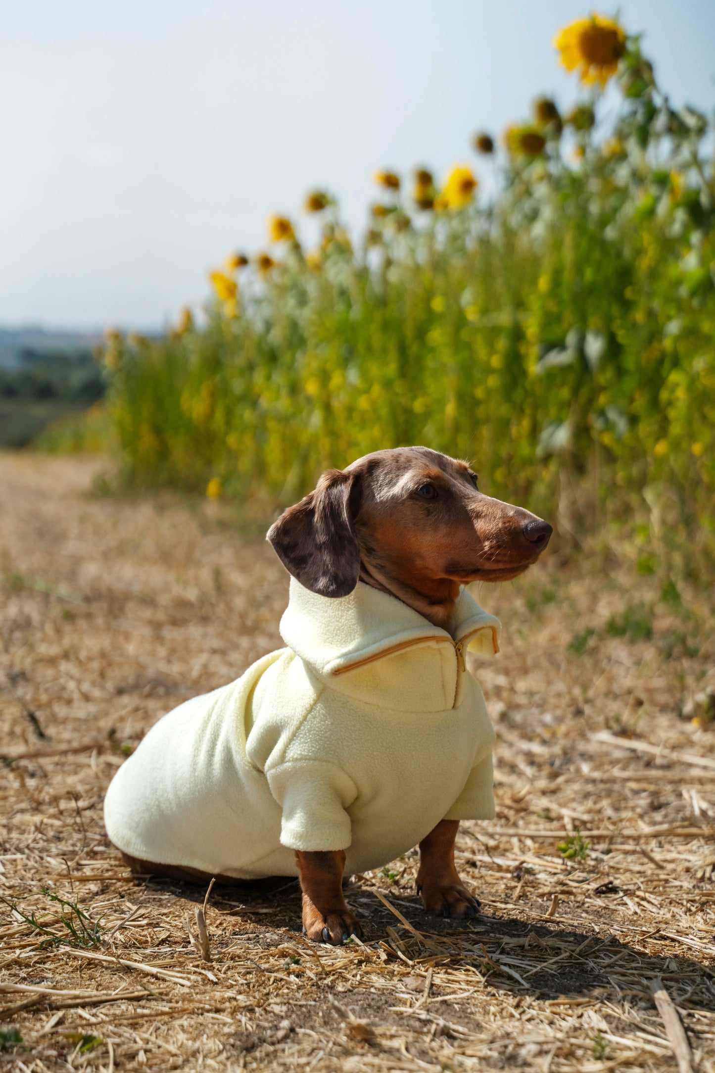 Lemon Quarter Zip Fleece Jumper