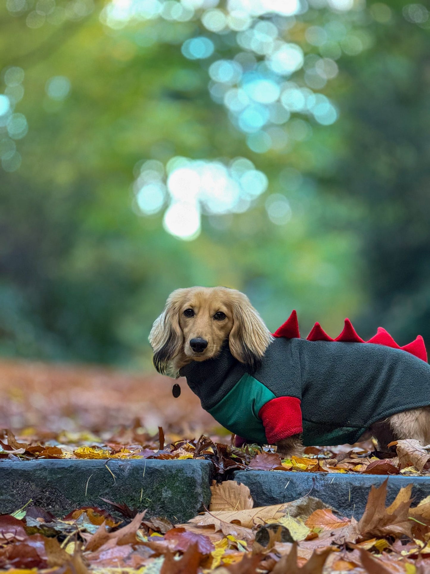 Jurassic Bark Fleece Jumper