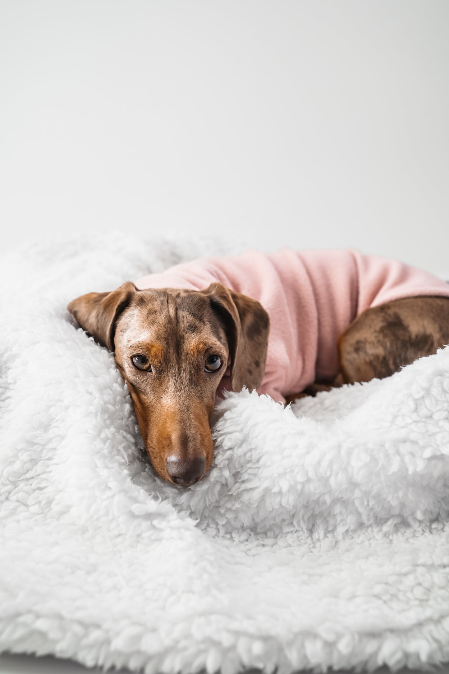 Blossom Fleece Jumper