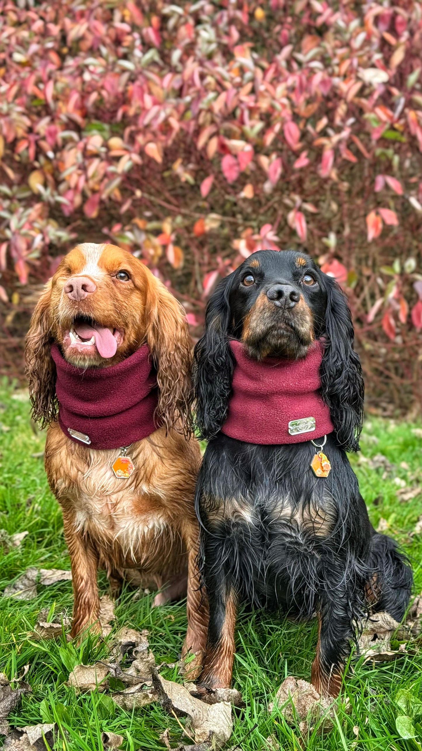 Wine Fleece Snood