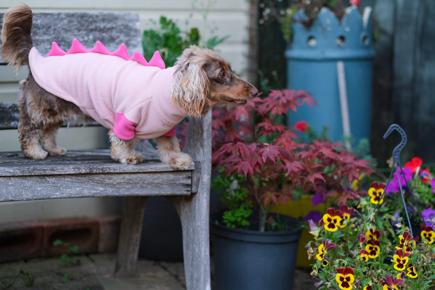 Jurassic Bark Fleece Jumper