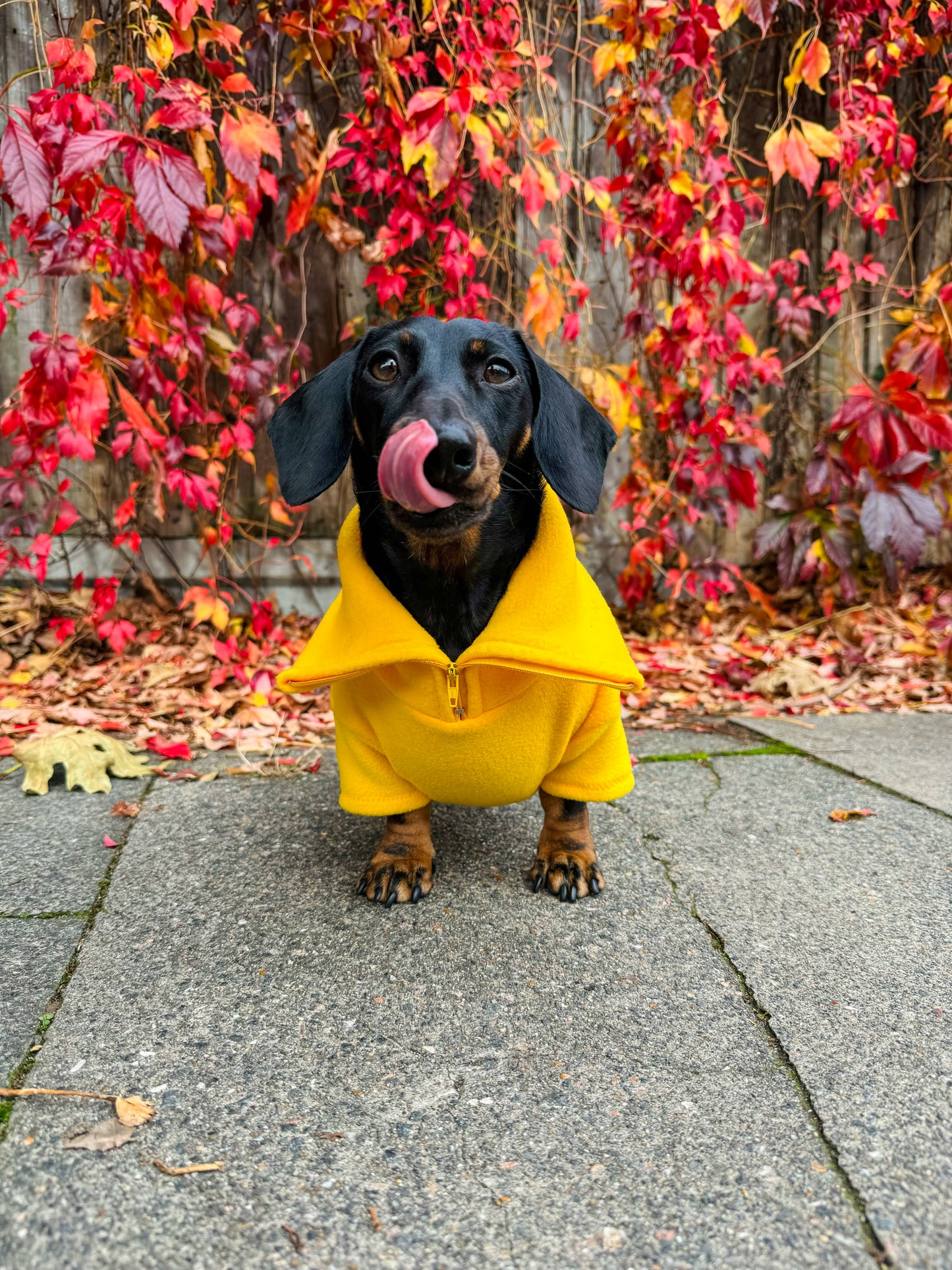 Canary Yellow Quarter Zip Fleece Jumper