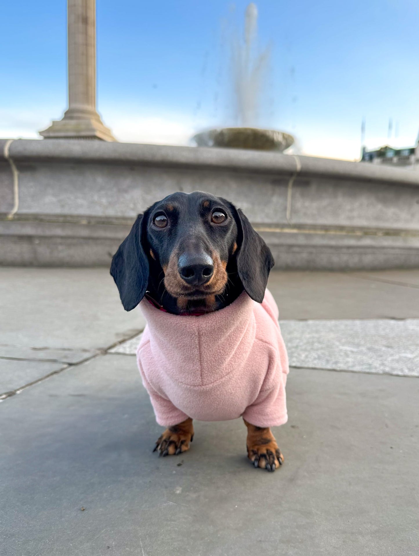 Blossom Fleece Jumper