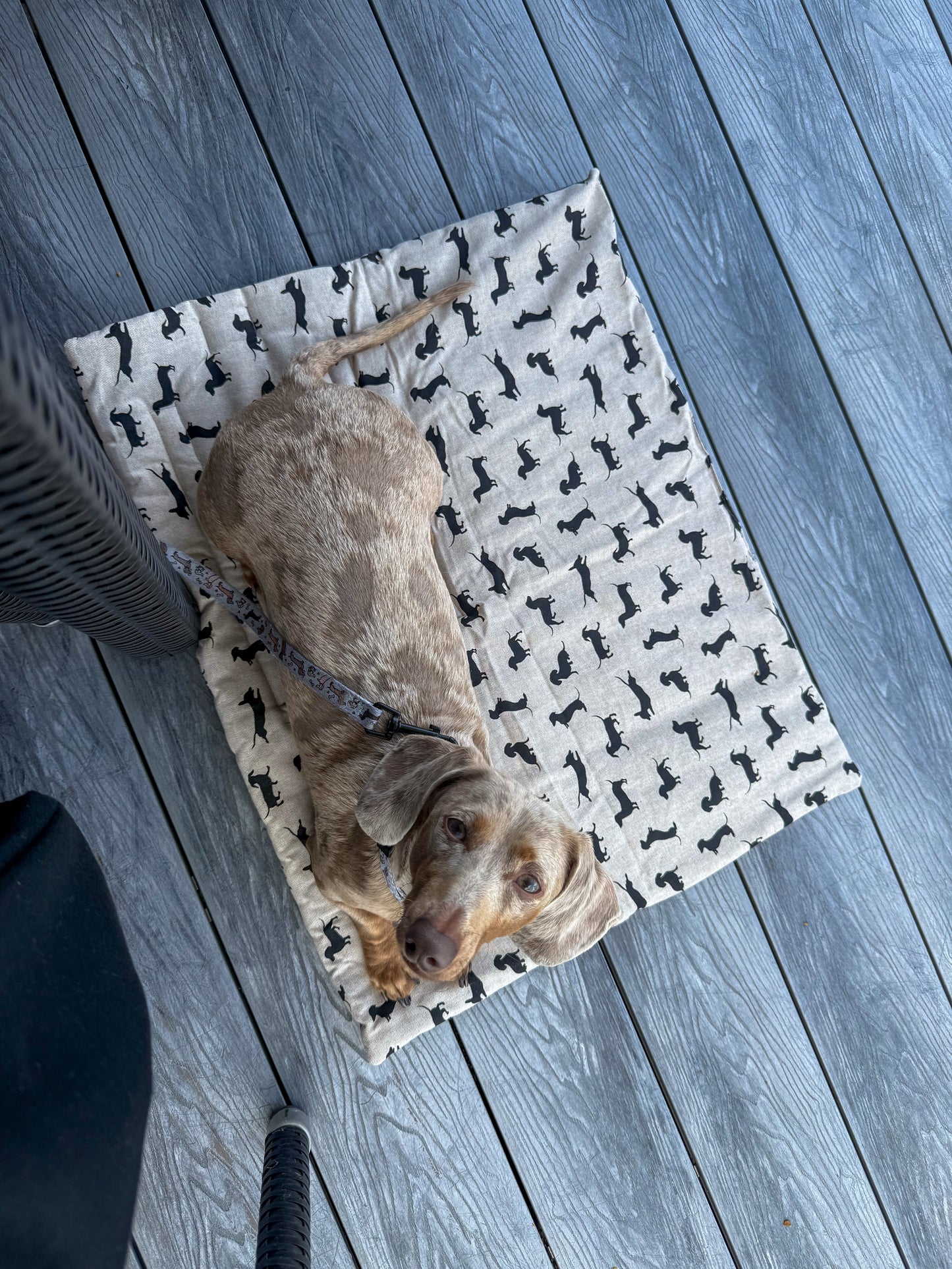 Dachshund Pub & Picnic Settle Mat