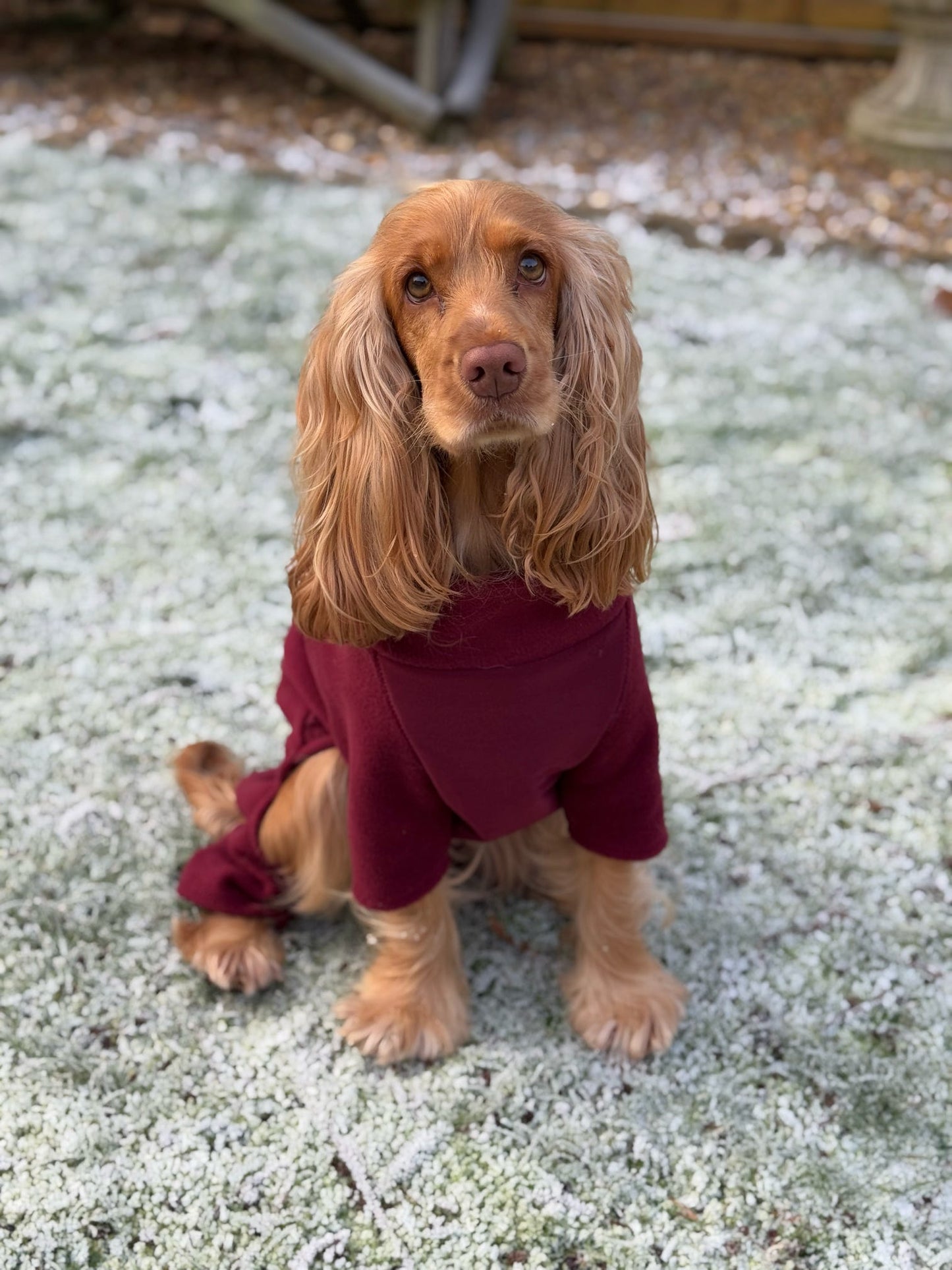 Wine 4 Leg Fleece Jumper