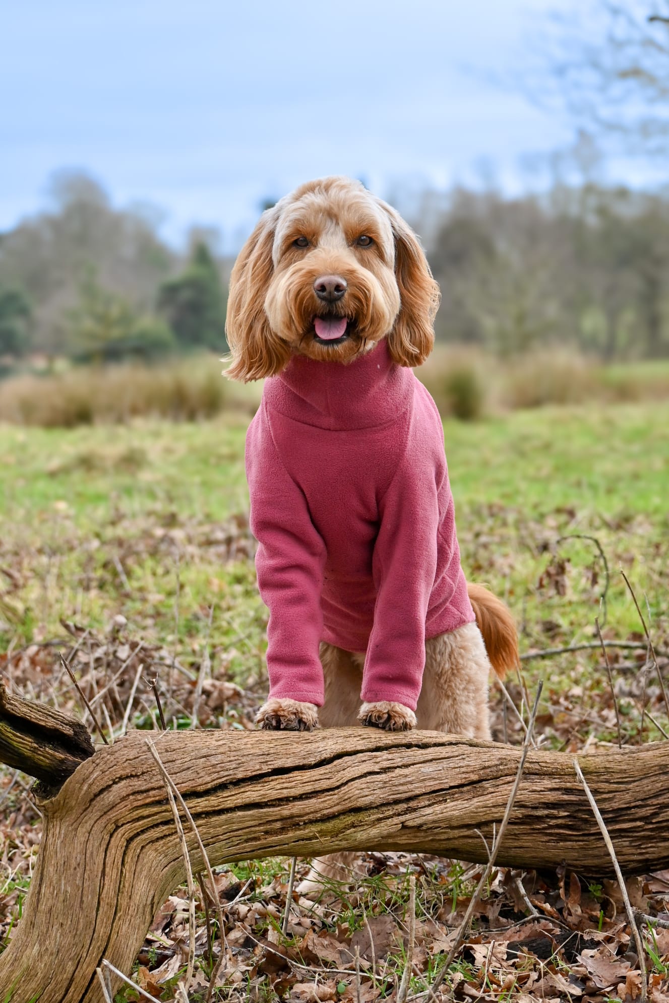 Raspberry Fleece Jumper