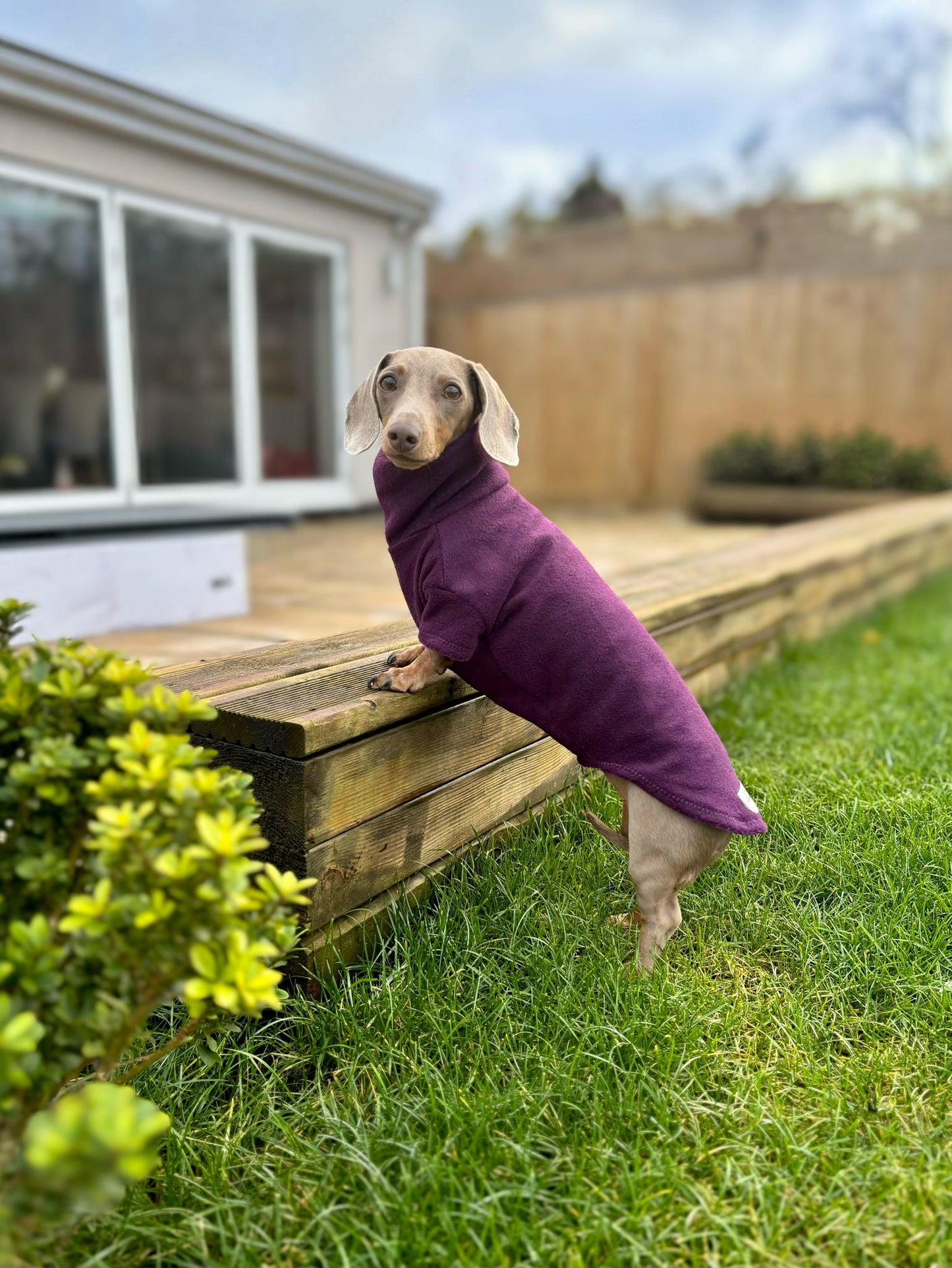 Plum Fleece Jumper