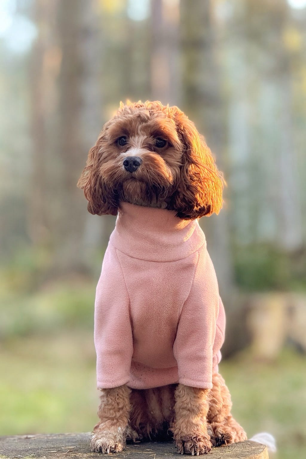 Blossom Fleece Jumper