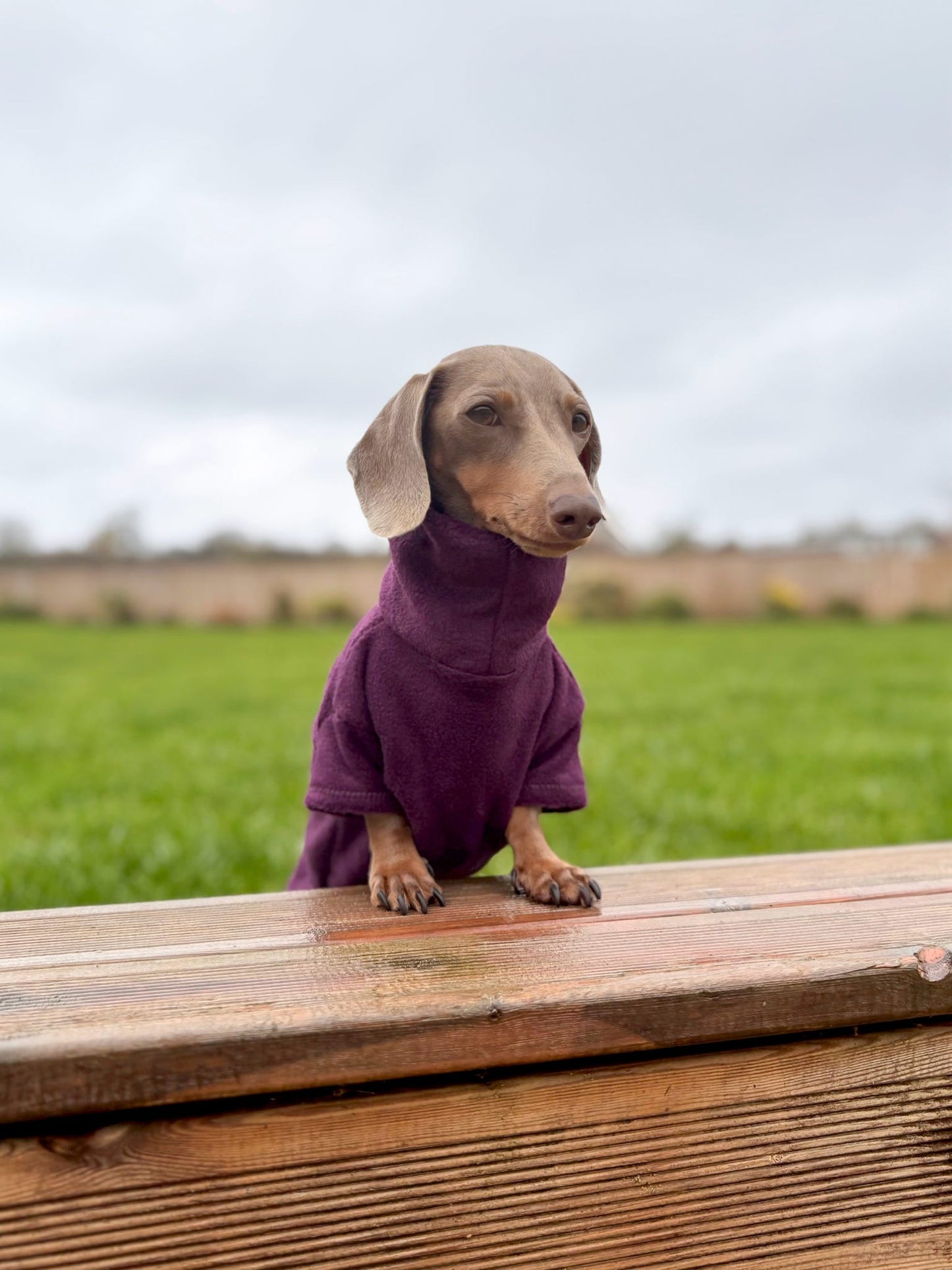 Plum Fleece Jumper
