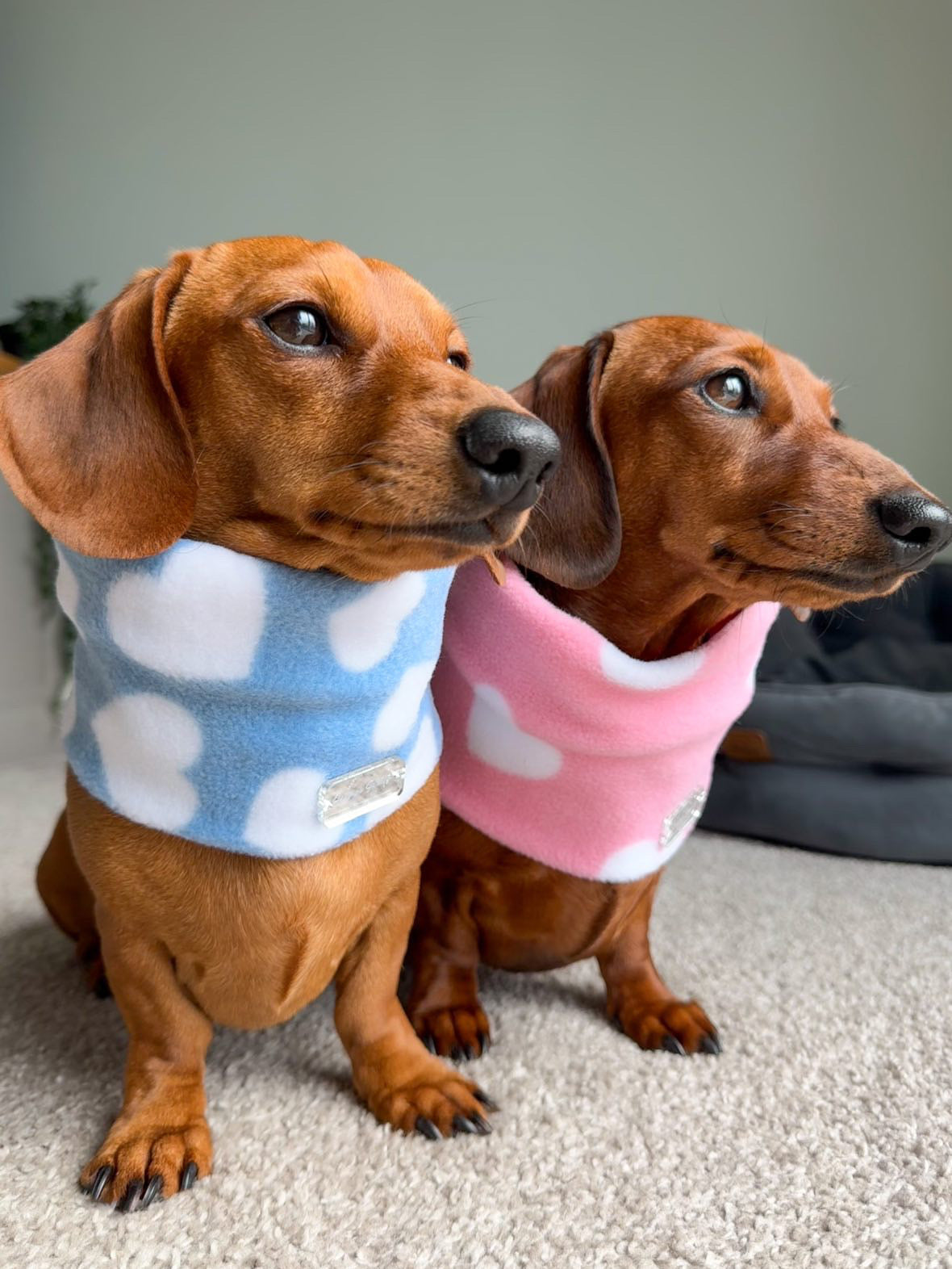 Love Pink Fleece Snood