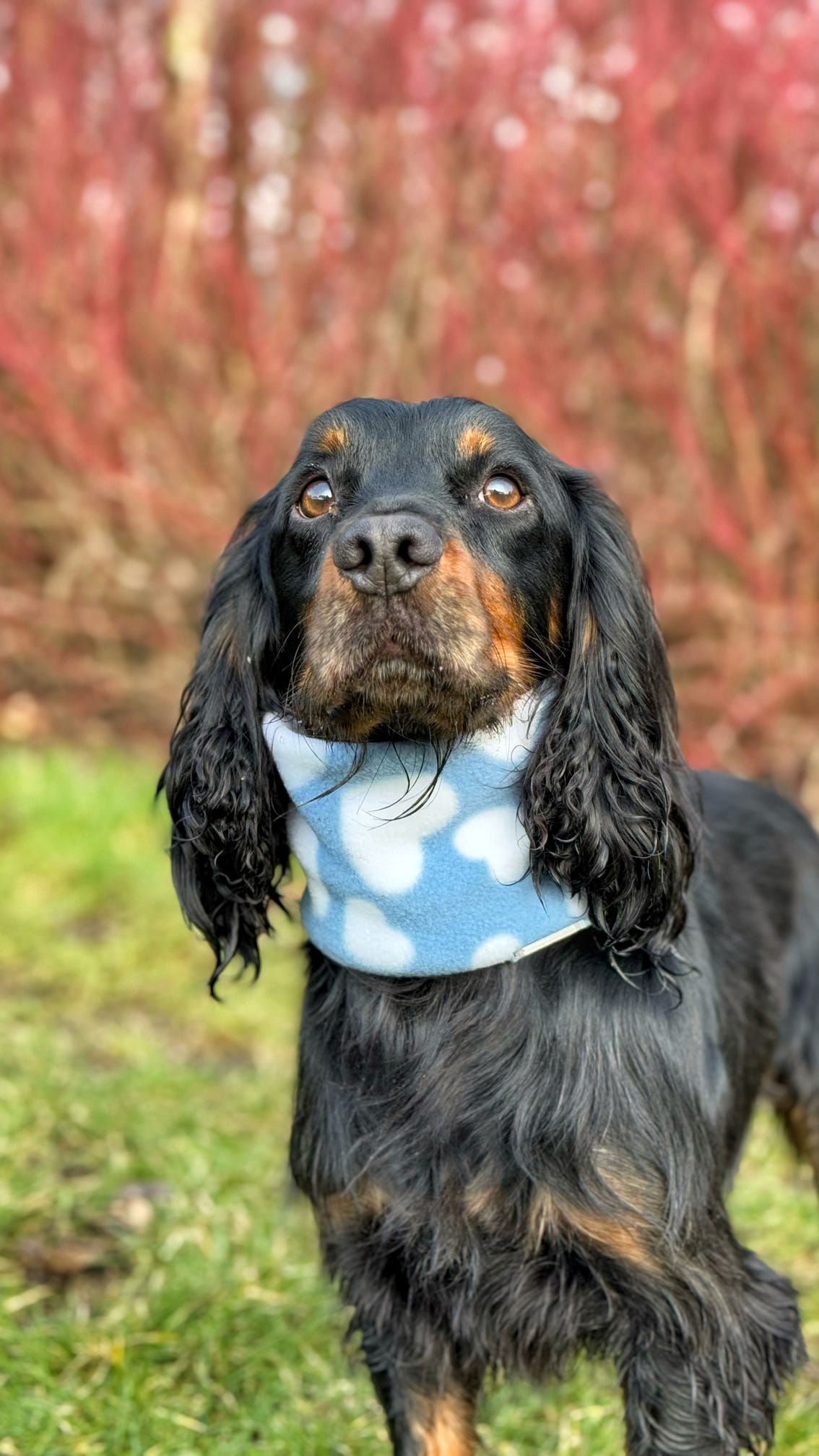 Love Blue Fleece Snood