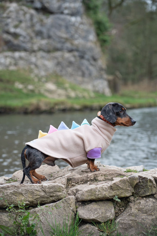 Jurassic Bark Fleece Jumper