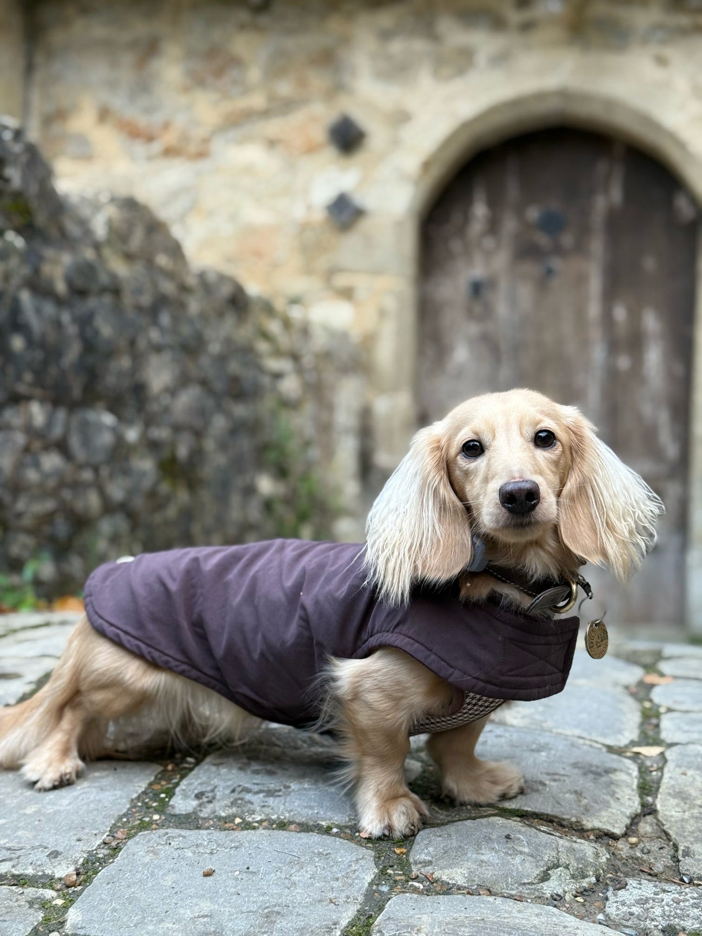 Chocolate Waterproof Jacket with Fleece Lining