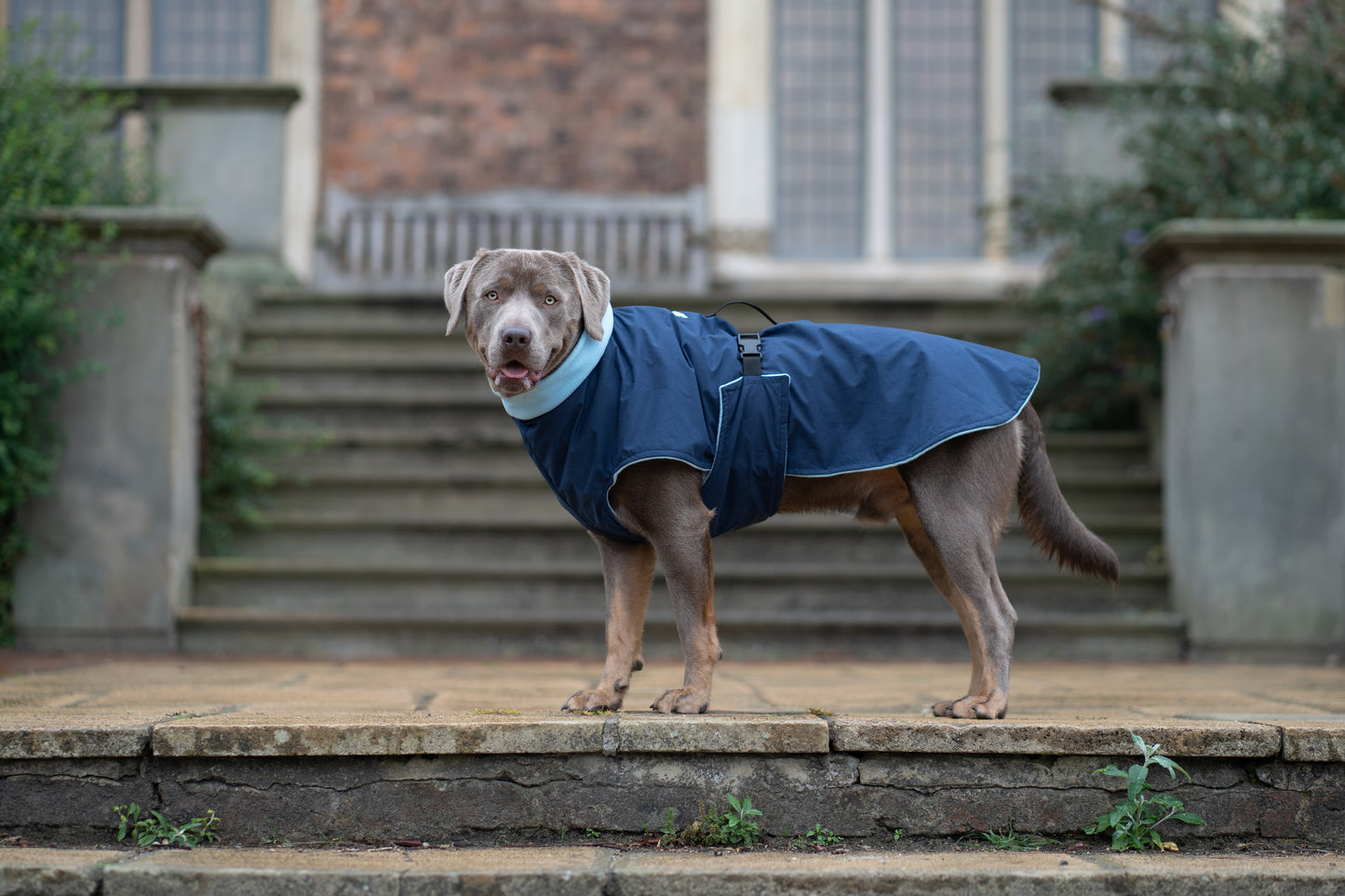 Navy Full Tummy Waterproof Jacket with Fleece Lining