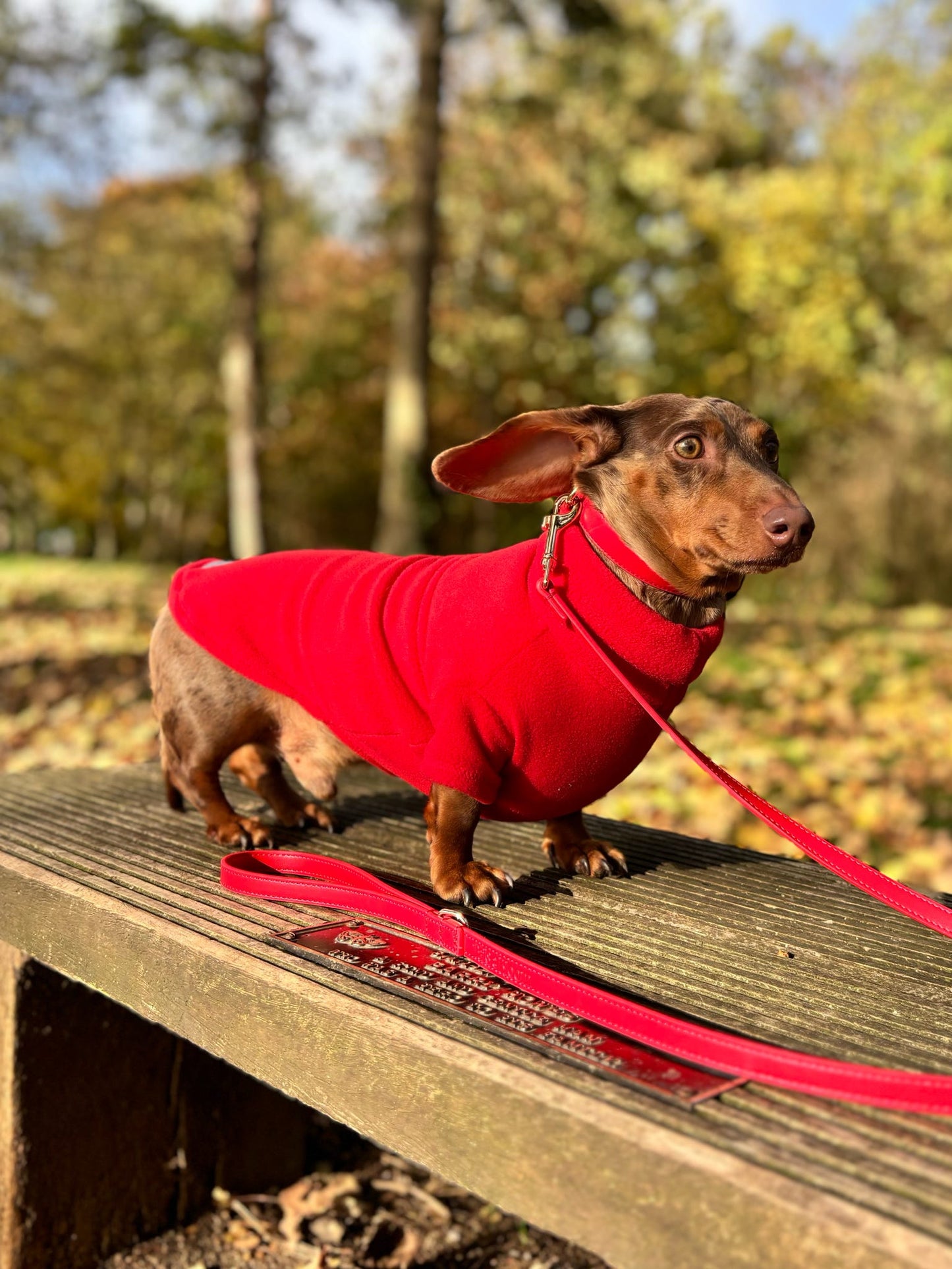Red Fleece Jumper