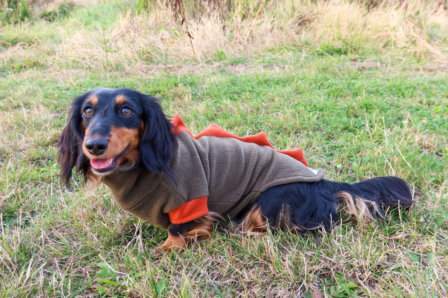 Jurassic Bark Fleece Jumper