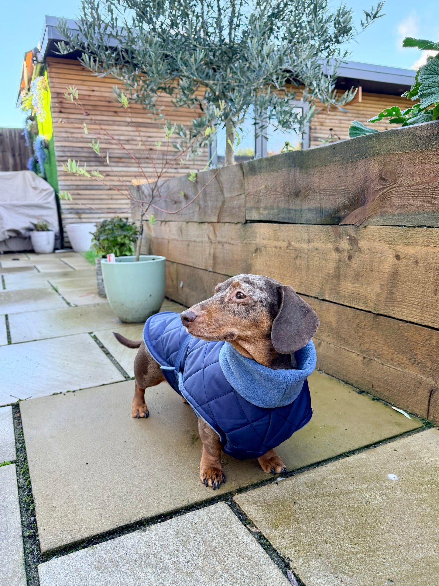 Light Grey Quilted Full Tummy Coat with Fleece Lining