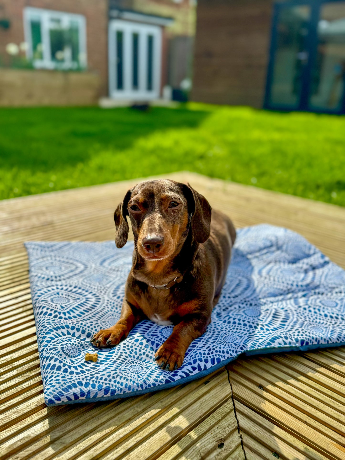 Maya Meander Pub & Picnic Mat